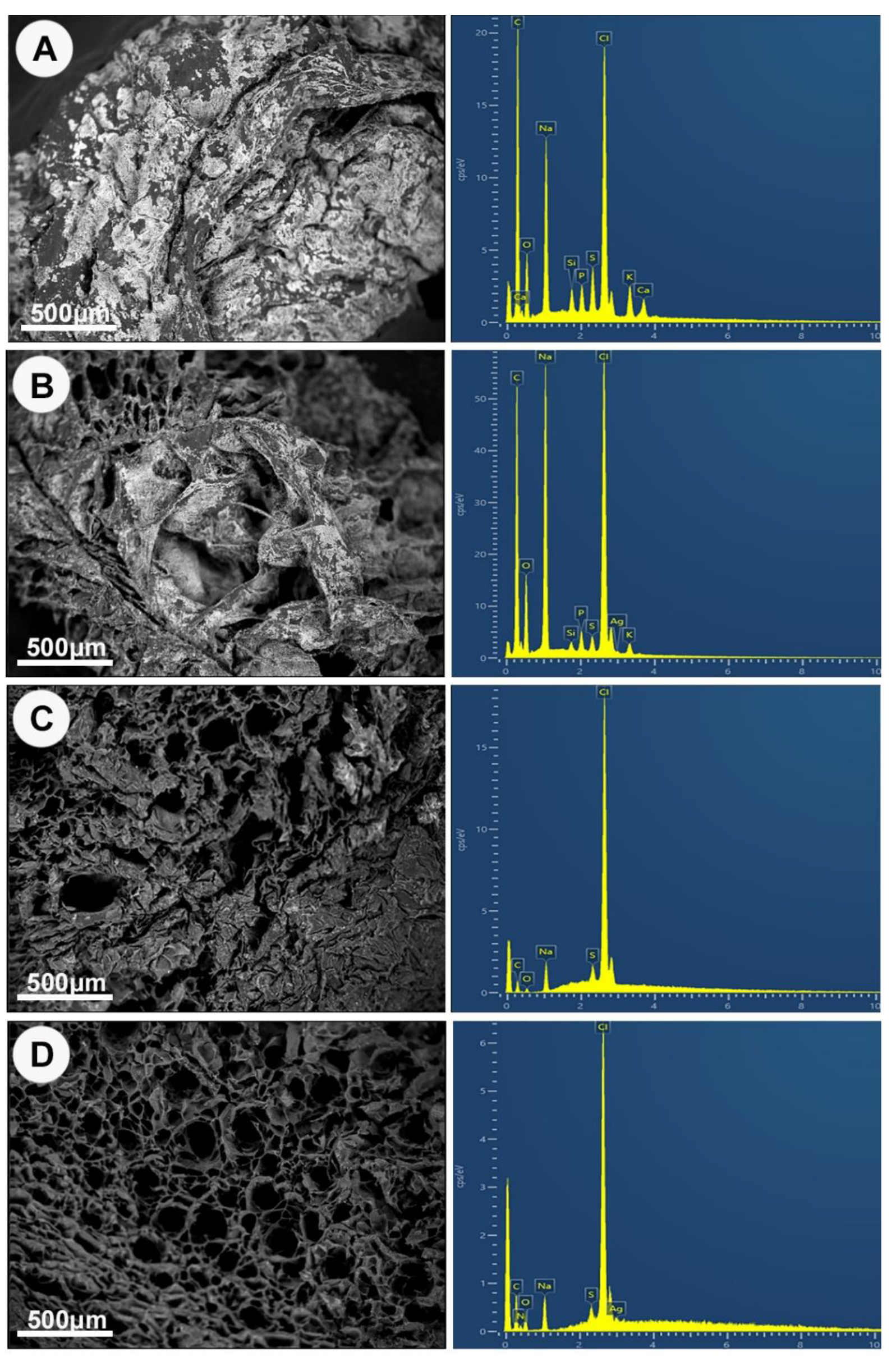 Nanomaterials 13 00705 g005