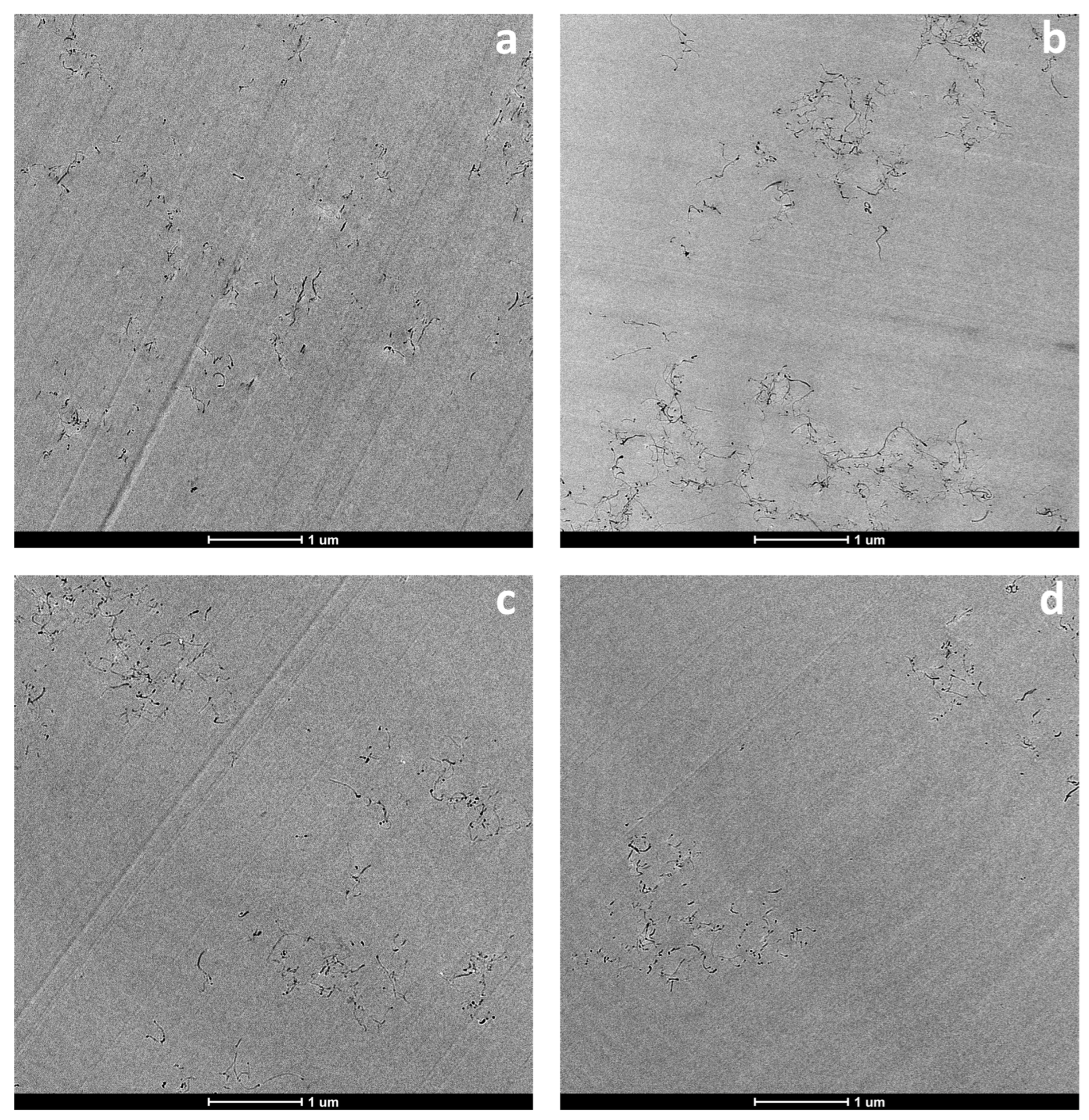 Nanomaterials 13 00725 g003 Nanomaterials 13 00725 g003