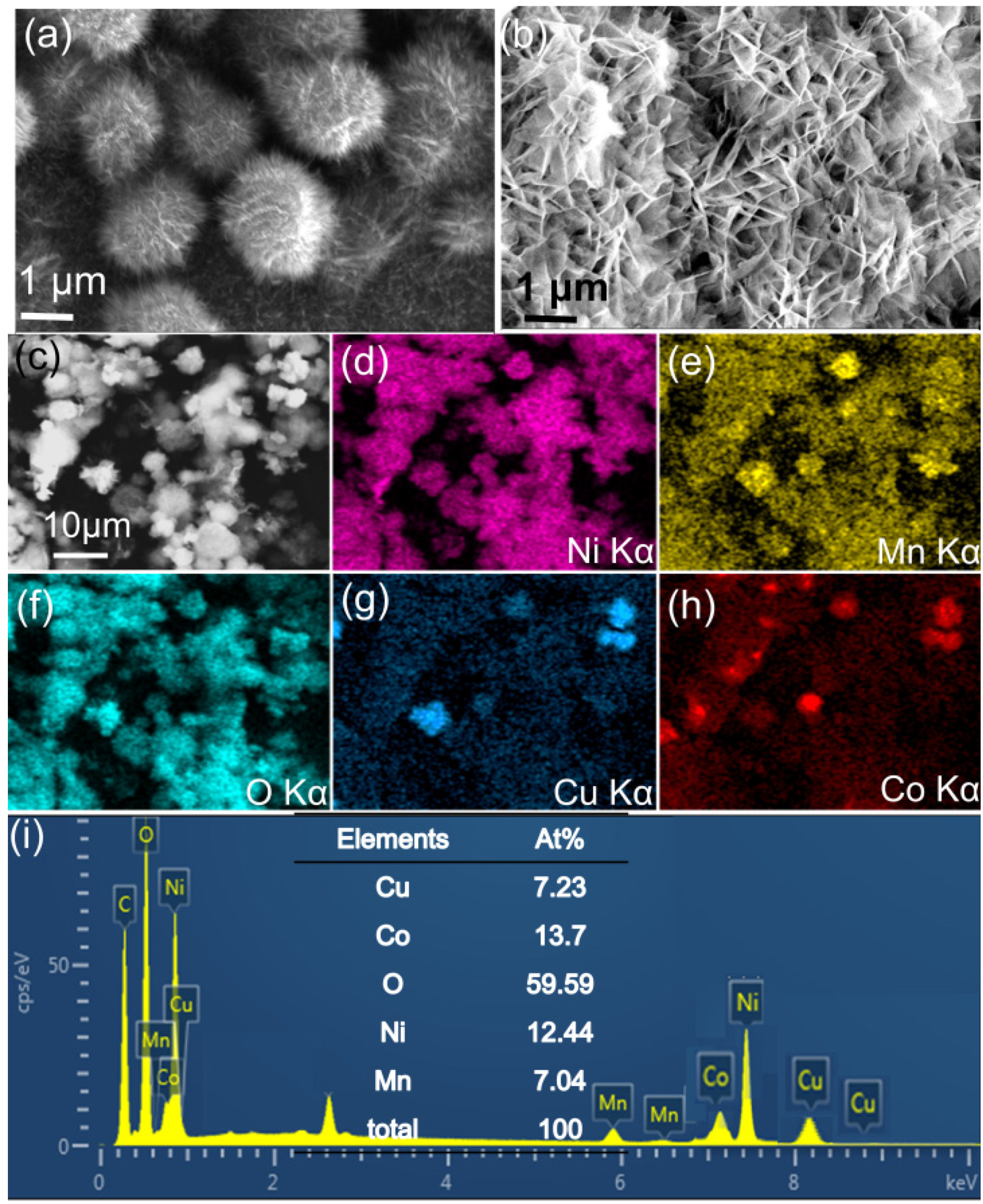 Nanomaterials 13 00730 g001 Nanomaterials 13 00730 g001