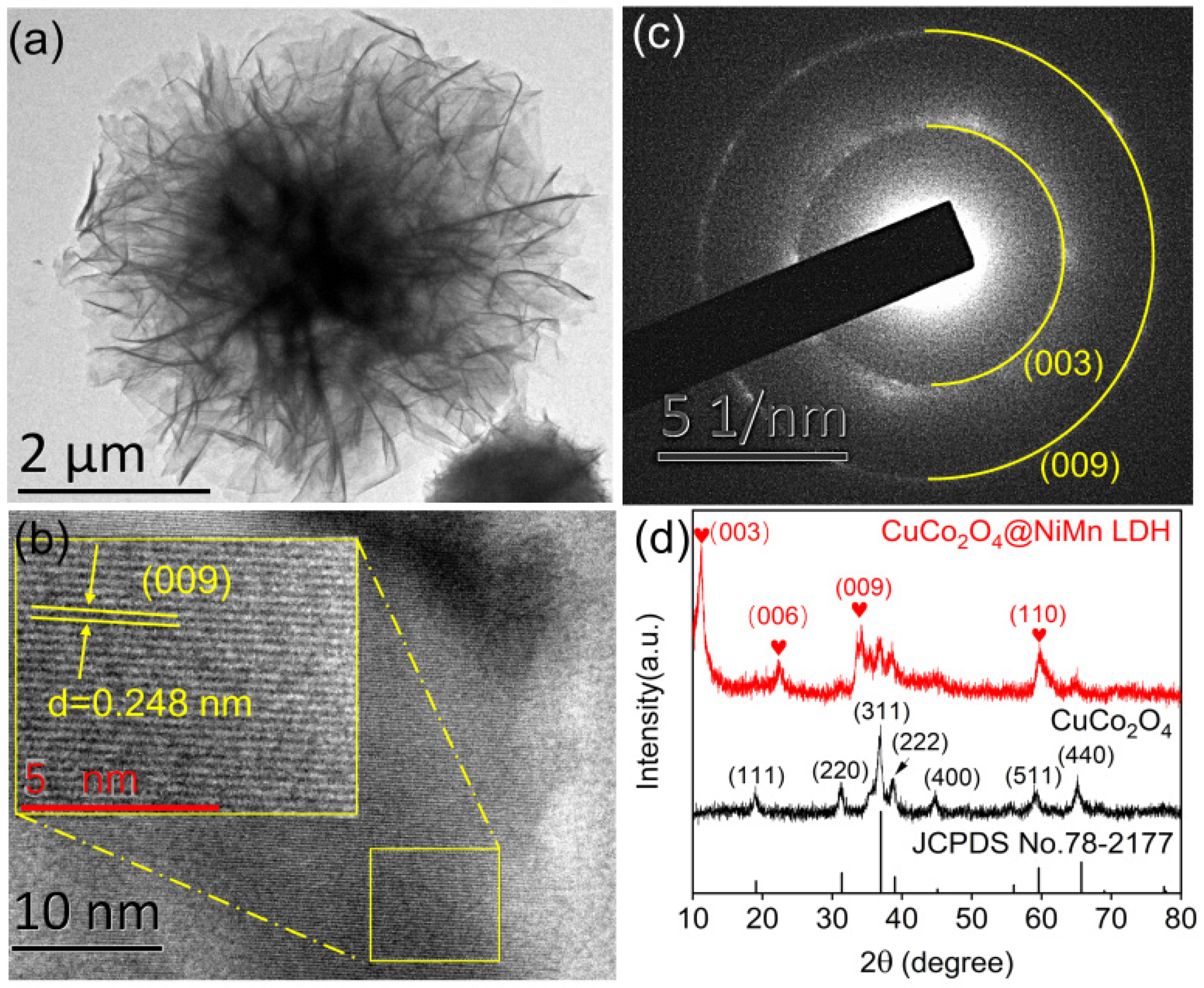 Nanomaterials 13 00730 g002 Nanomaterials 13 00730 g002