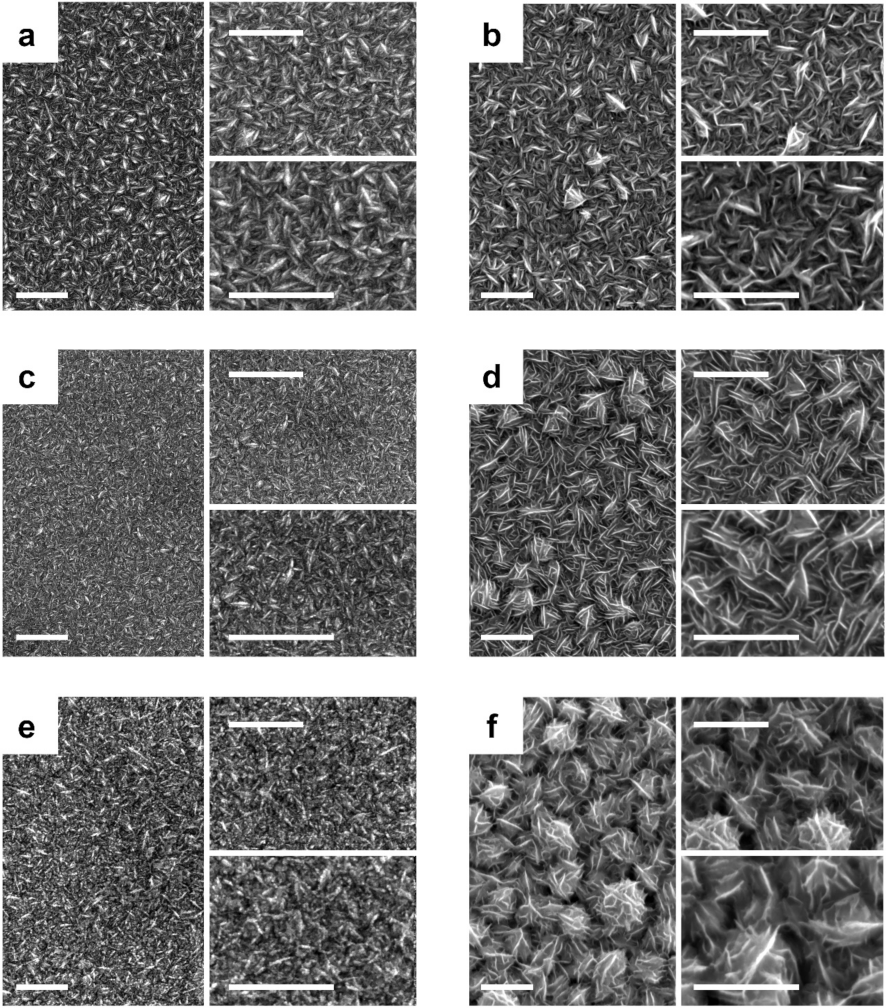 Nanomaterials 13 00790 g001