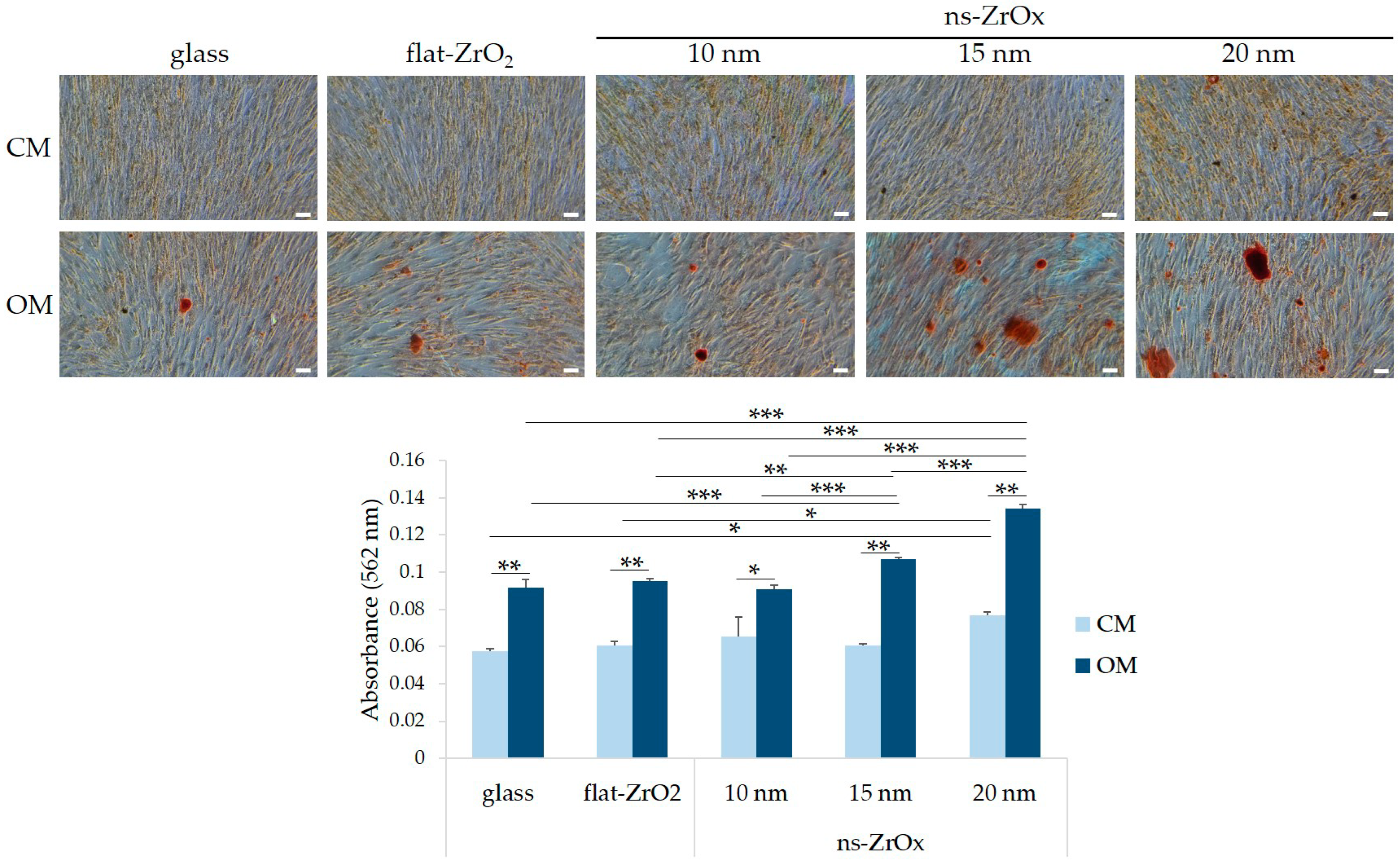 Nanomaterials 13 00801 g002