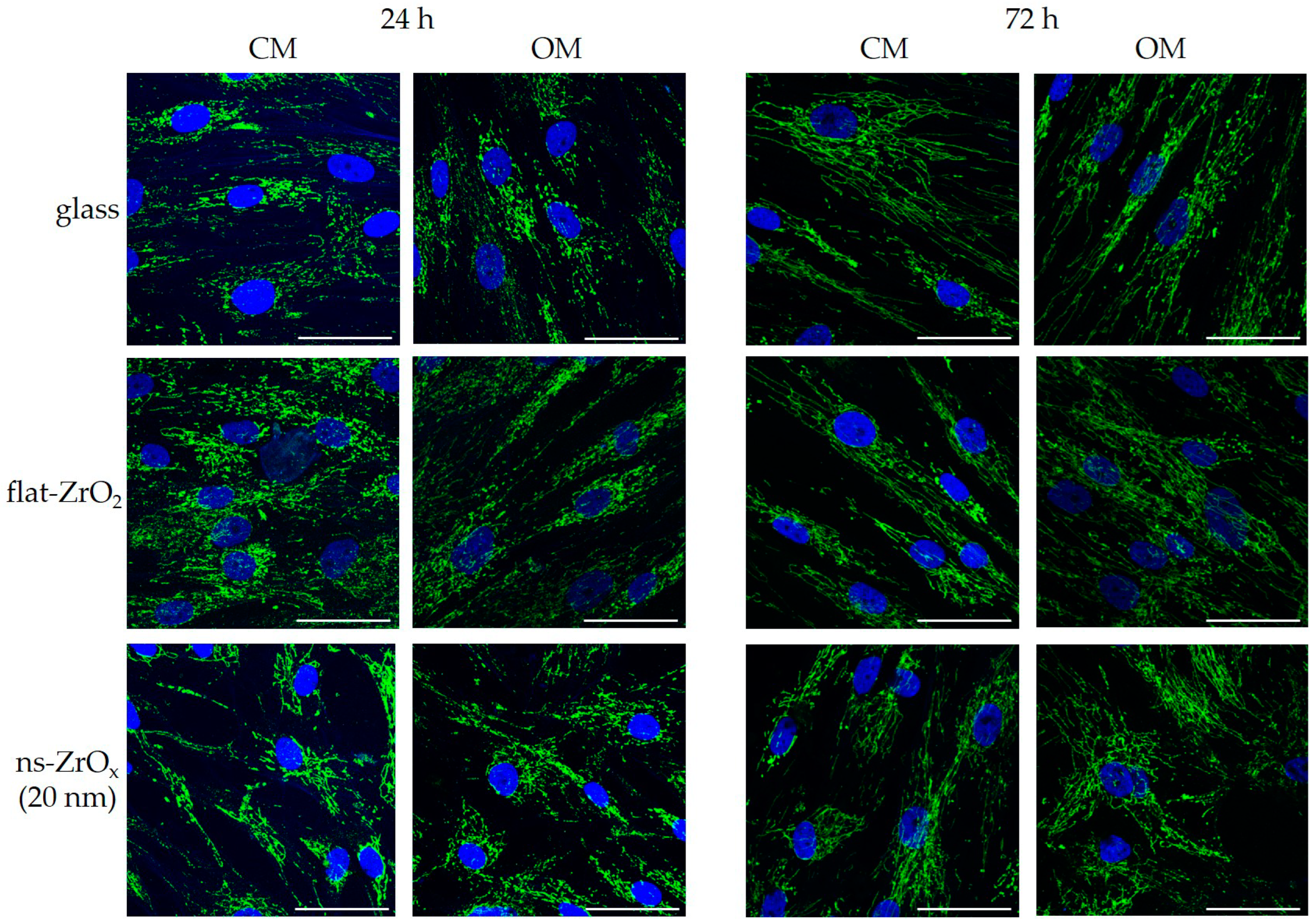 Nanomaterials 13 00801 g007