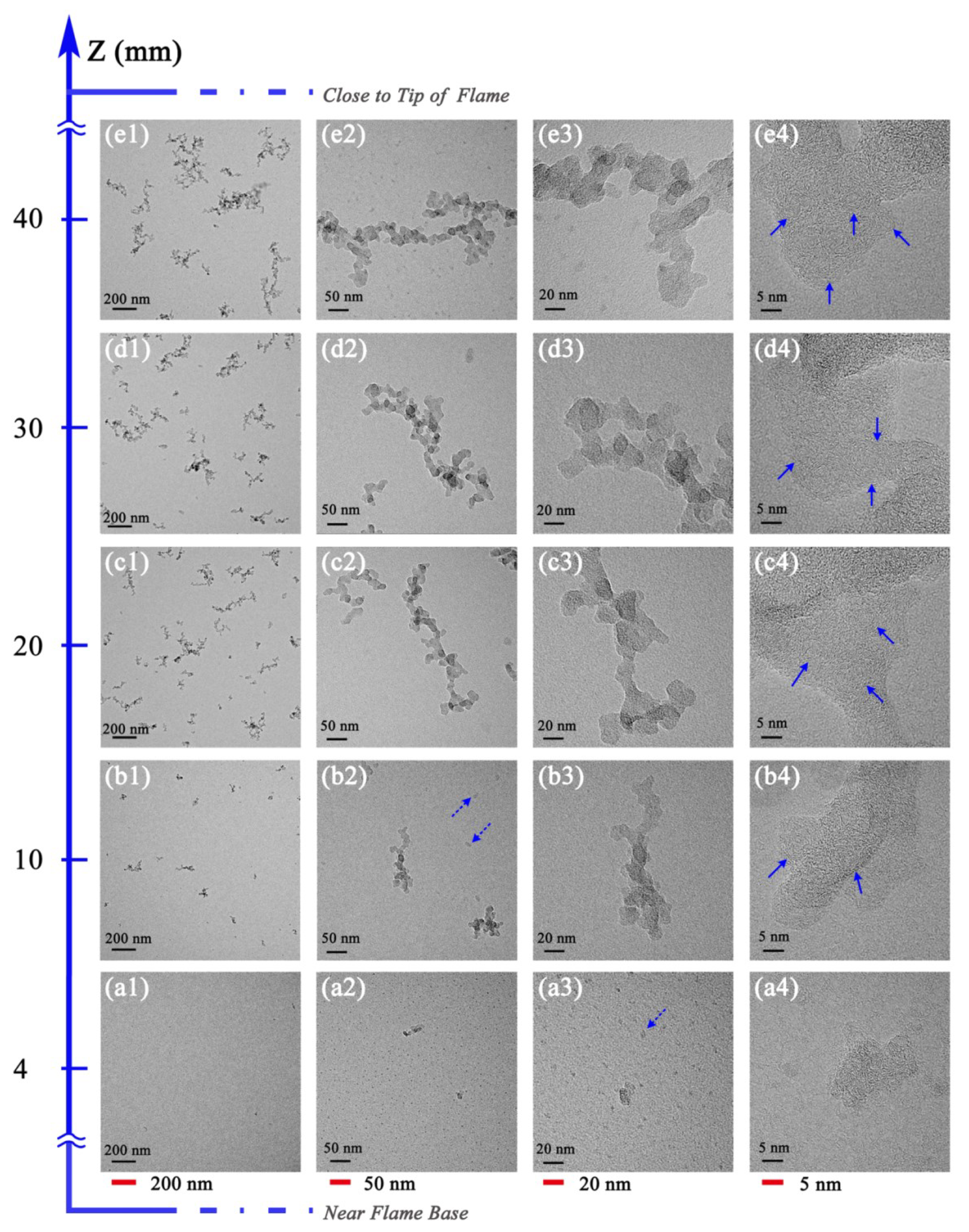 Nanomaterials 13 00816 g007