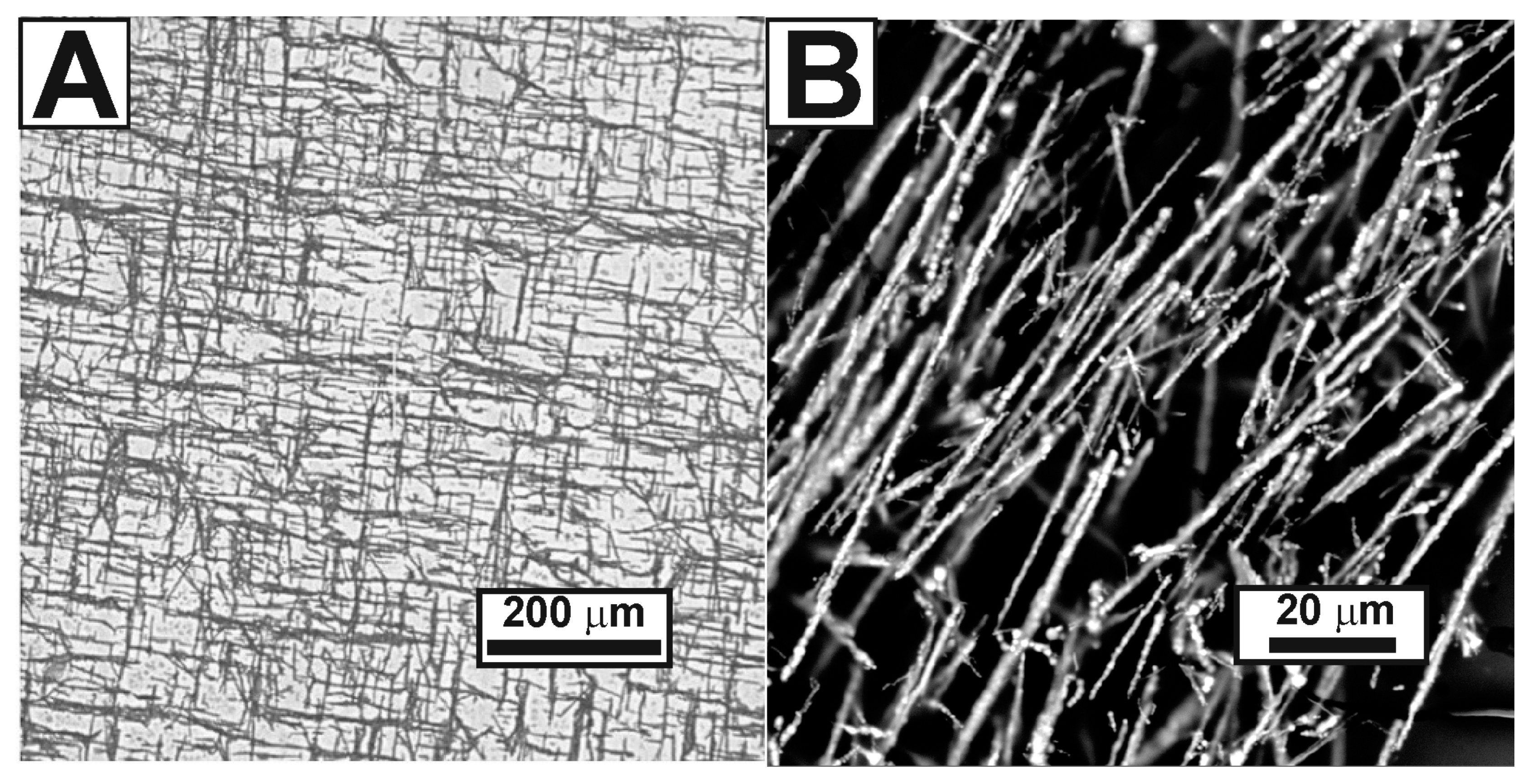 Nanomaterials 13 00831 g005 Nanomaterials 13 00831 g005
