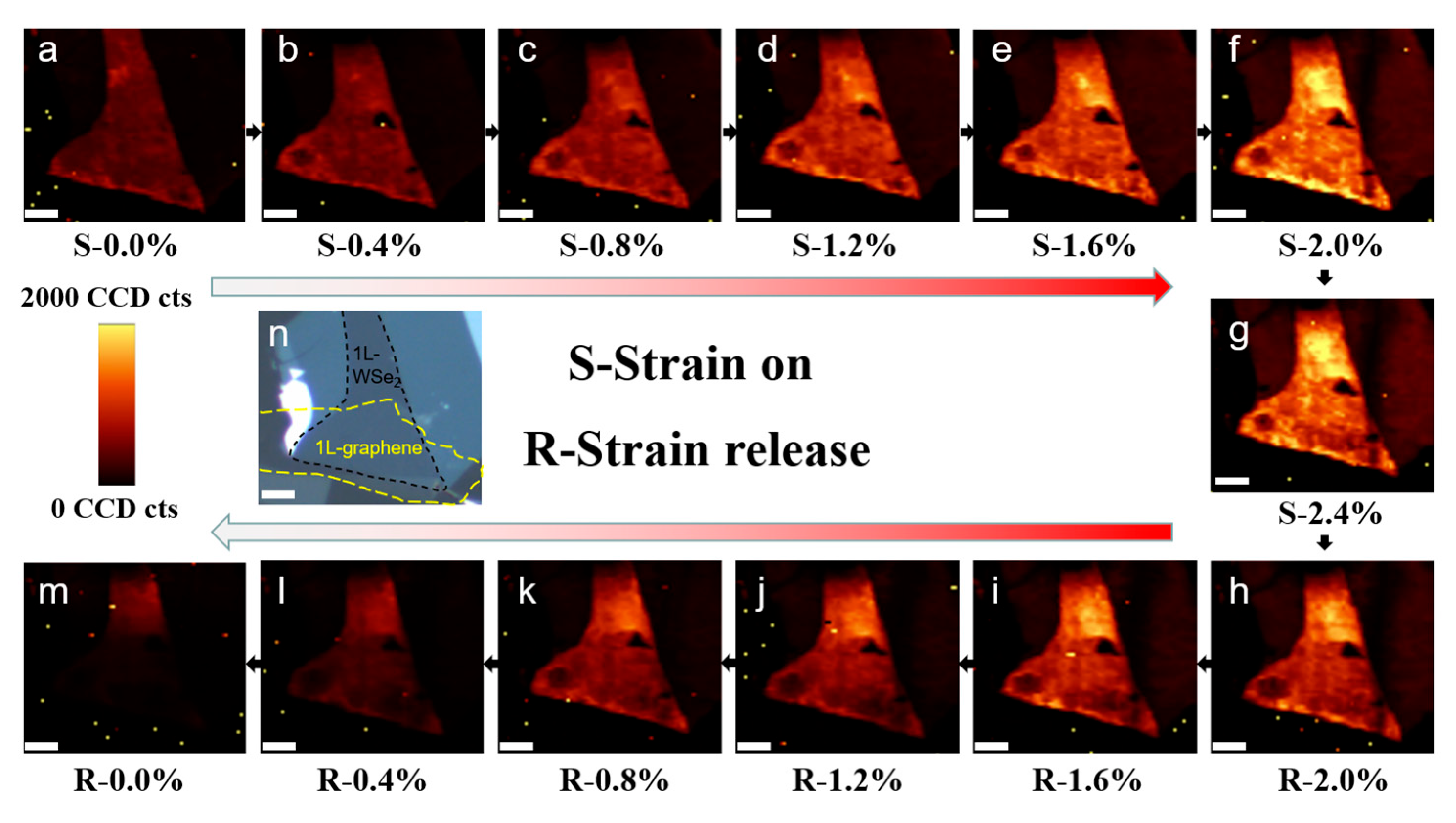 Nanomaterials 13 00833 g003 Nanomaterials 13 00833 g003