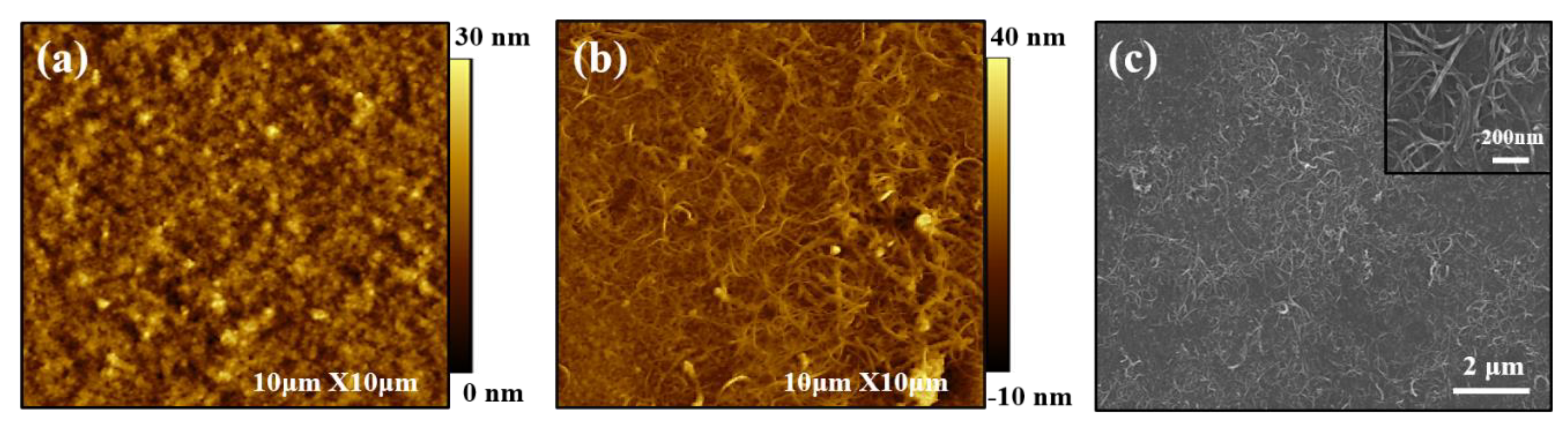 Nanomaterials 13 00866 g007