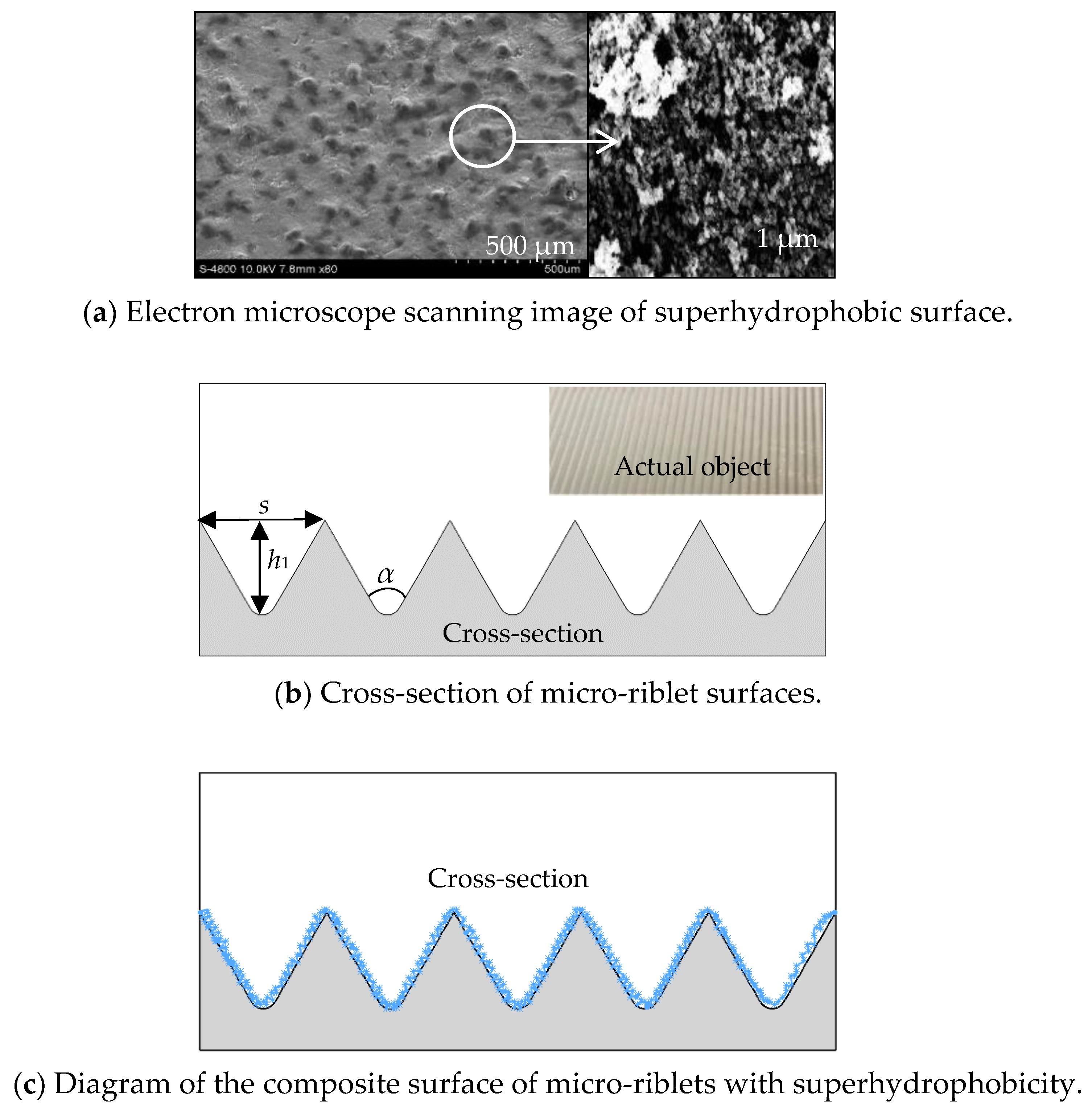 nanomaterials-free-full-text-the-roles-of-riblet-and