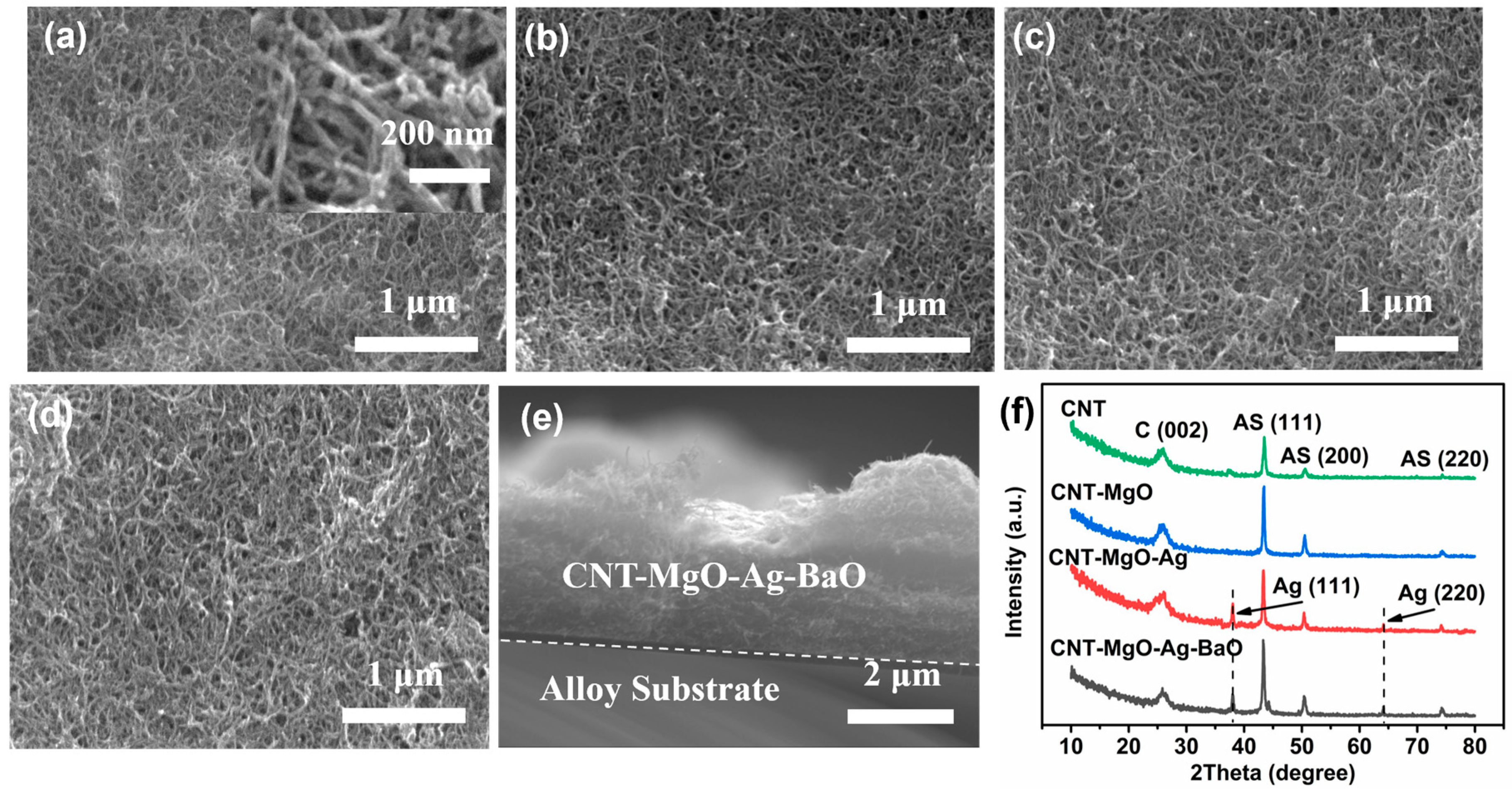 Nanomaterials 13 00885 g001 Nanomaterials 13 00885 g001
