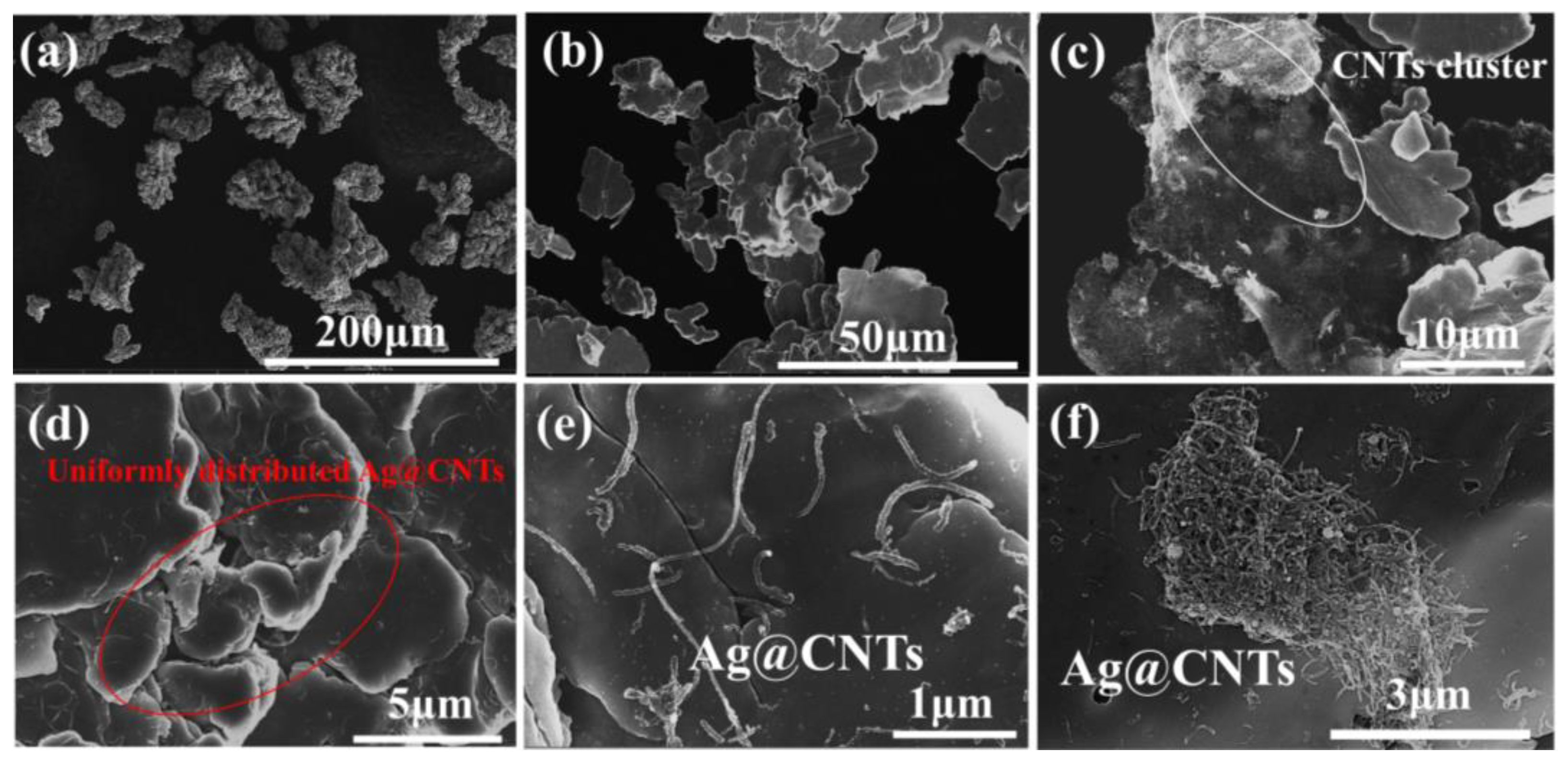 Nanomaterials 13 00887 g005