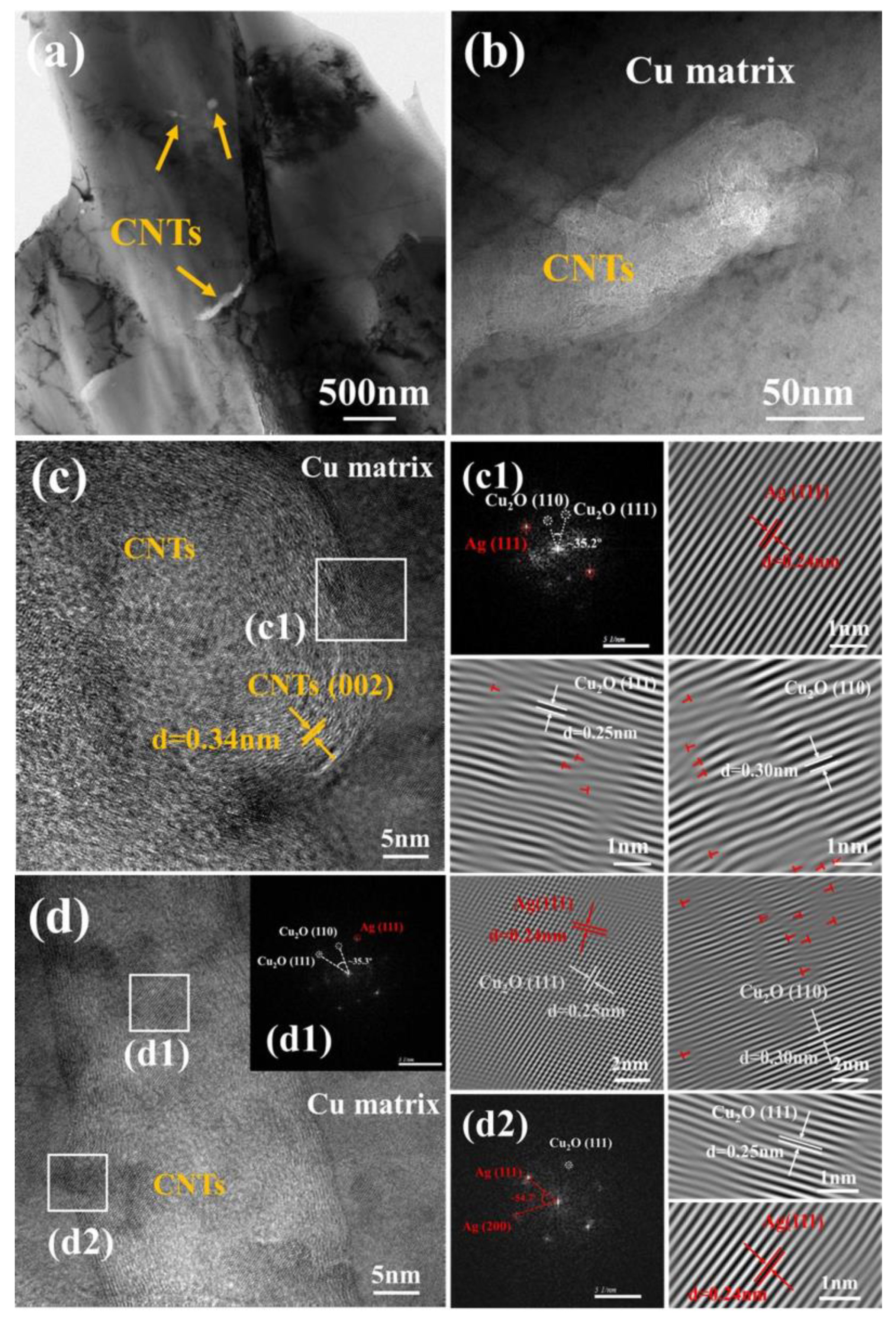 Nanomaterials 13 00887 g008