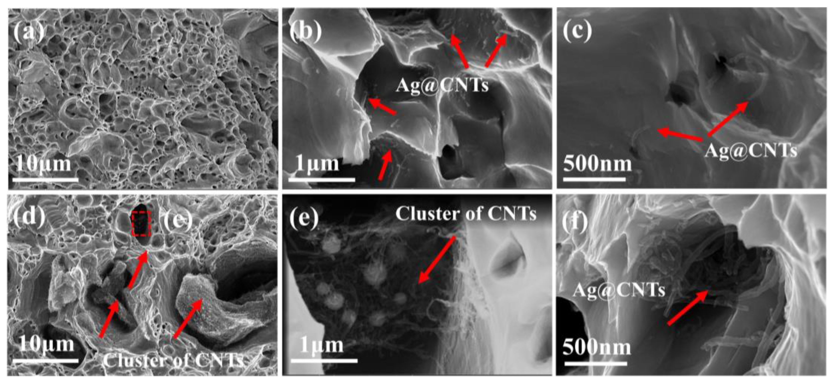 Nanomaterials 13 00887 g011