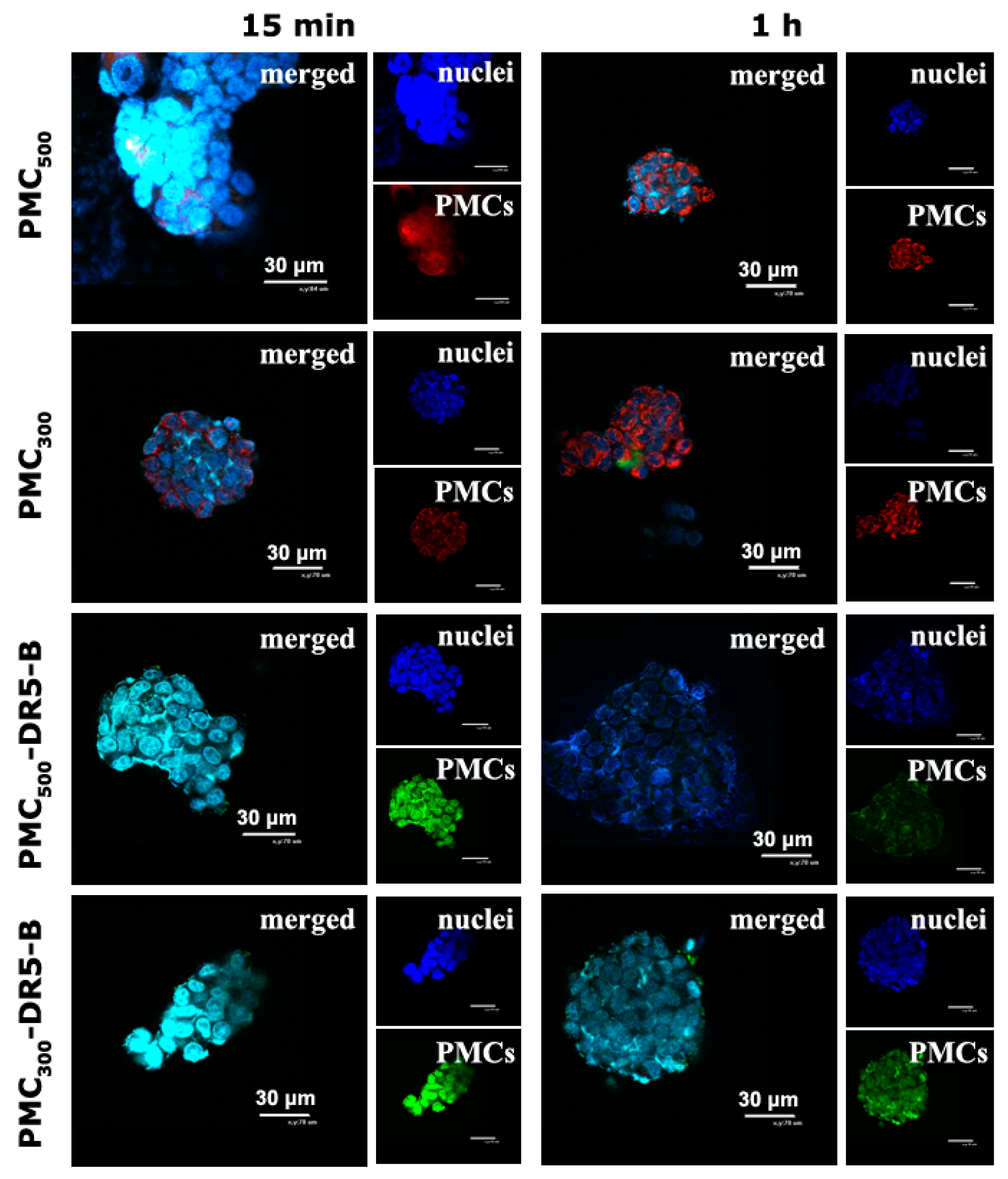 Nanomaterials 13 00902 g005 Nanomaterials 13 00902 g005