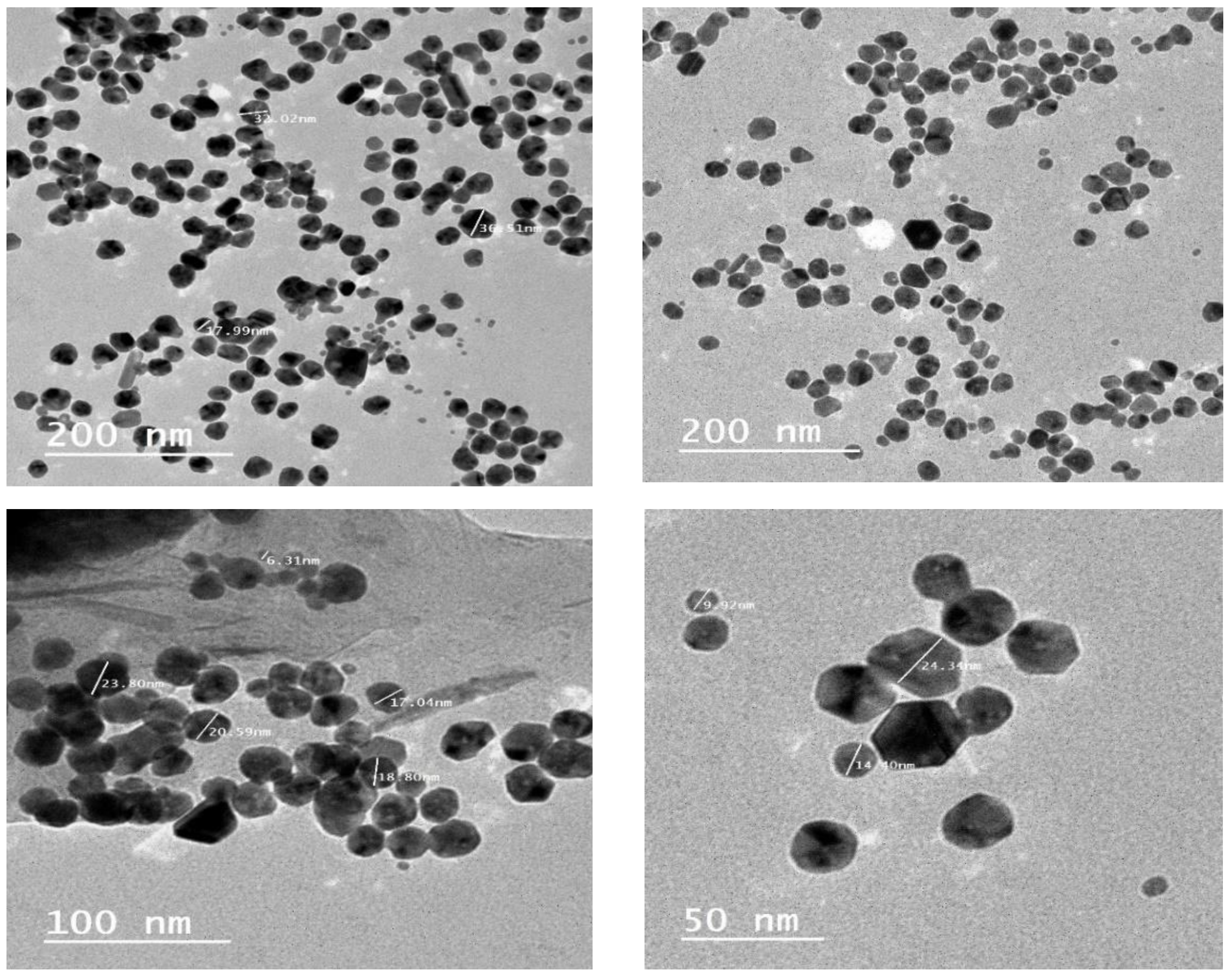 Nanomaterials 13 00945 g005 Nanomaterials 13 00945 g005
