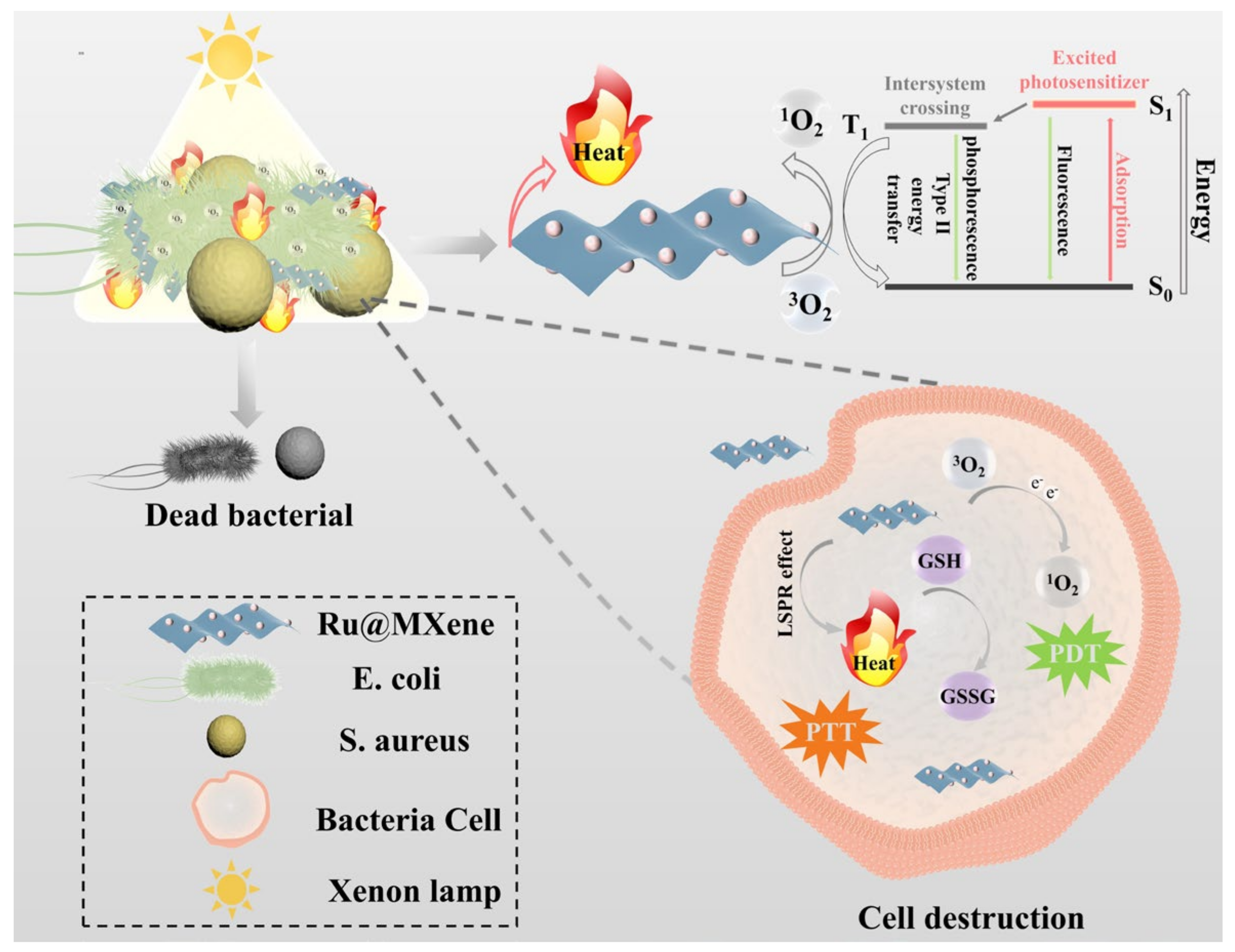 Nanomaterials 13 00958 g002
