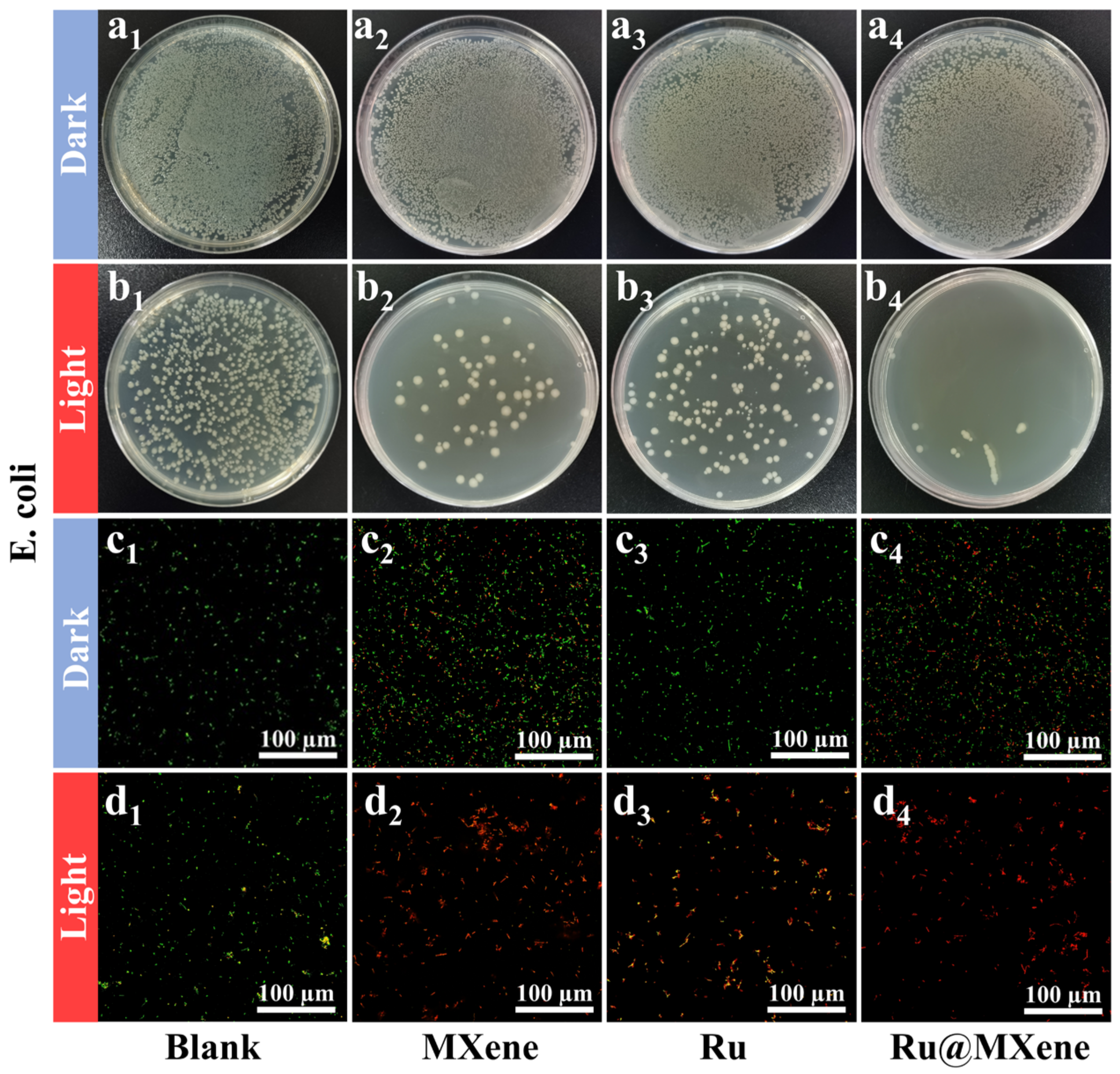 Nanomaterials 13 00958 g007