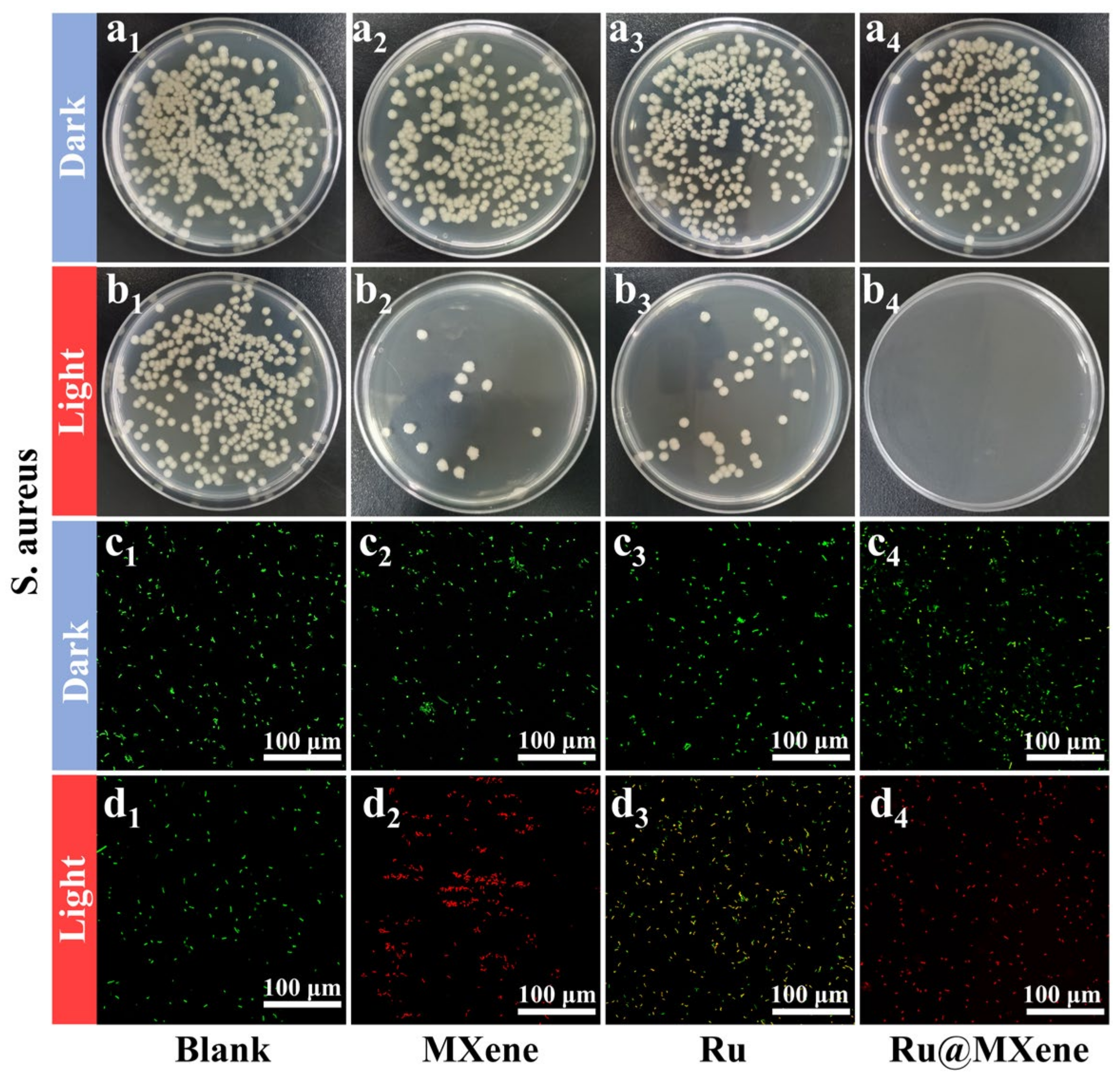 Nanomaterials 13 00958 g008
