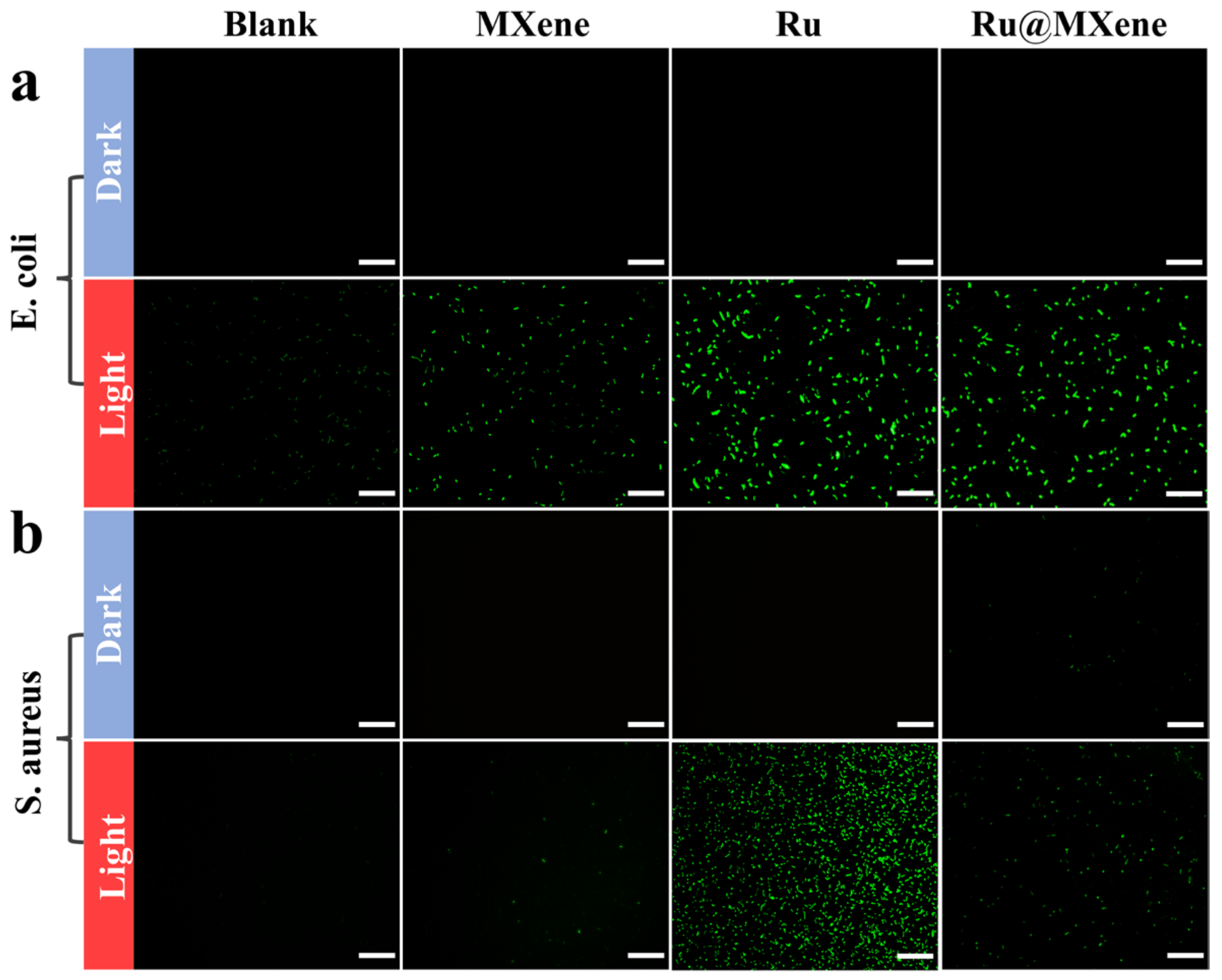 Nanomaterials 13 00958 g010