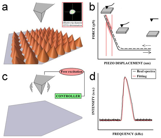 Spinning elastic beads: a route for simultaneous measurements of the shear  modulus and the interfacial energy of soft materials - Soft Matter (RSC  Publishing)