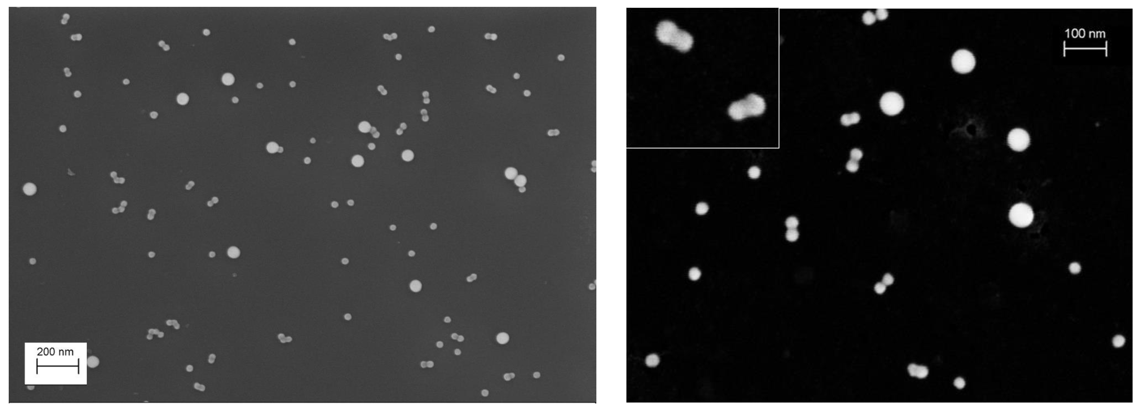 Nanomaterials 13 00993 g003