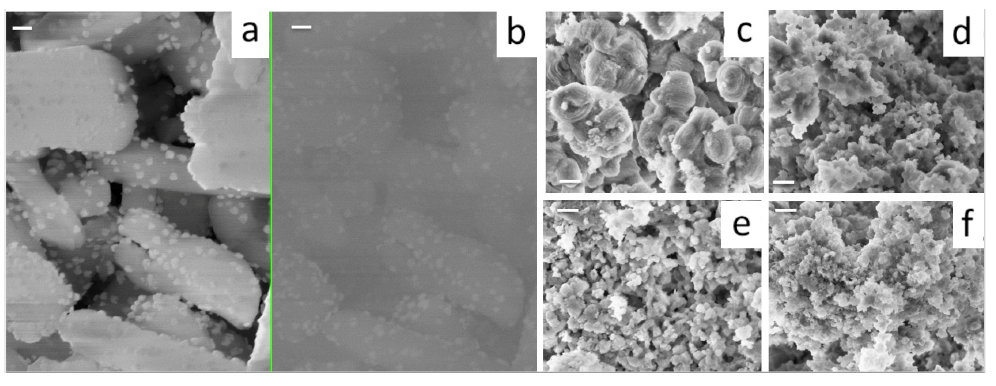 Nanomaterials 13 00997 g006