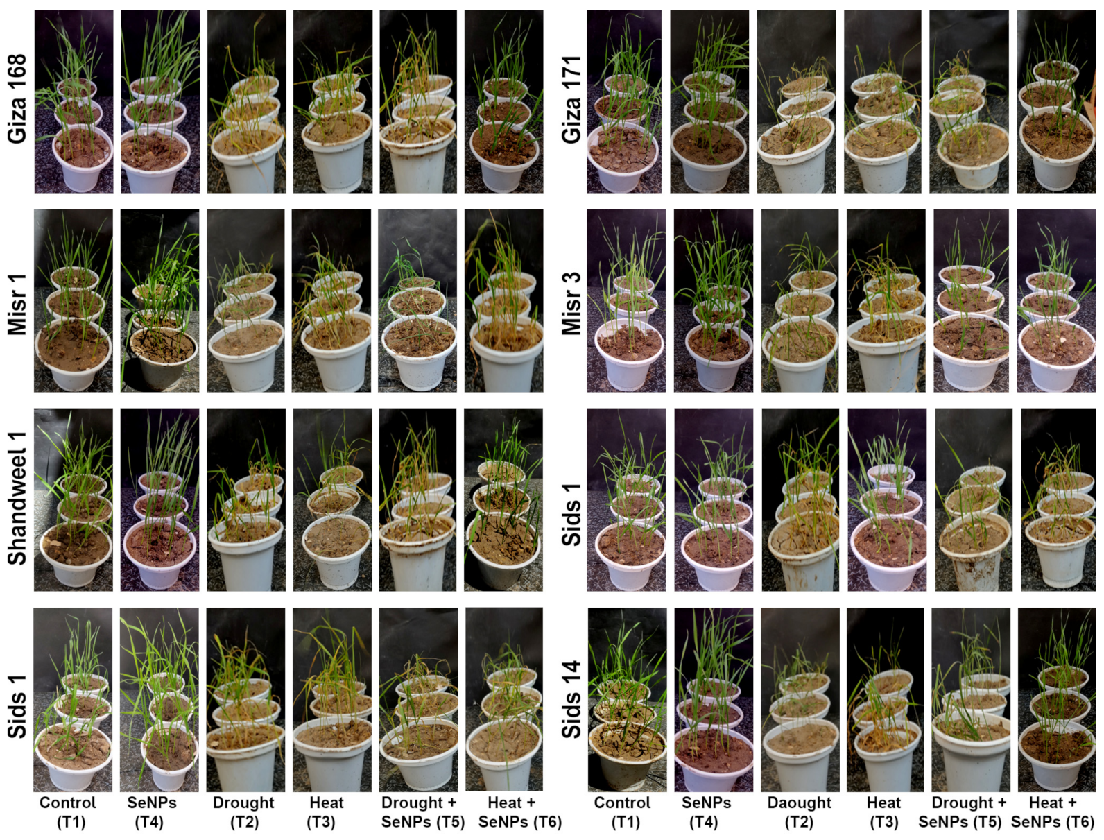 Nanomaterials 13 00998 g001 Nanomaterials 13 00998 g001