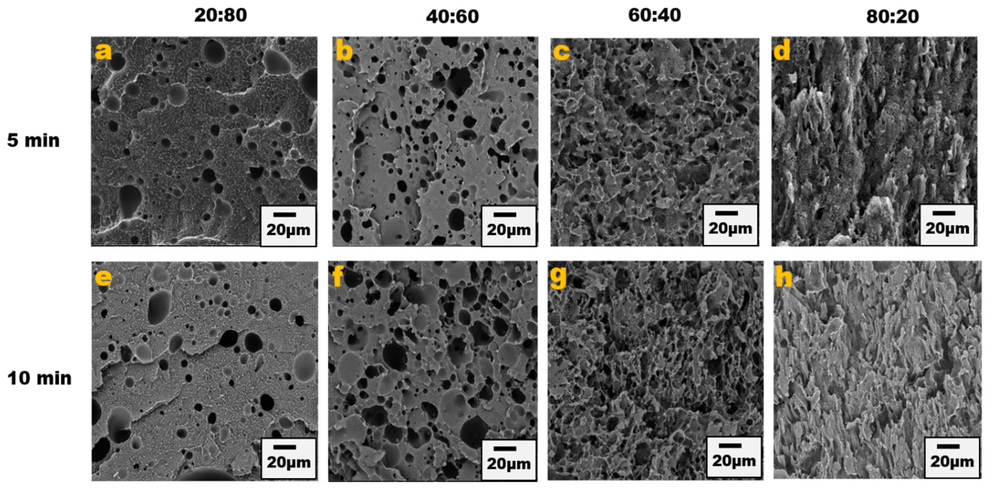Nanomaterials 13 01039 g001 Nanomaterials 13 01039 g001