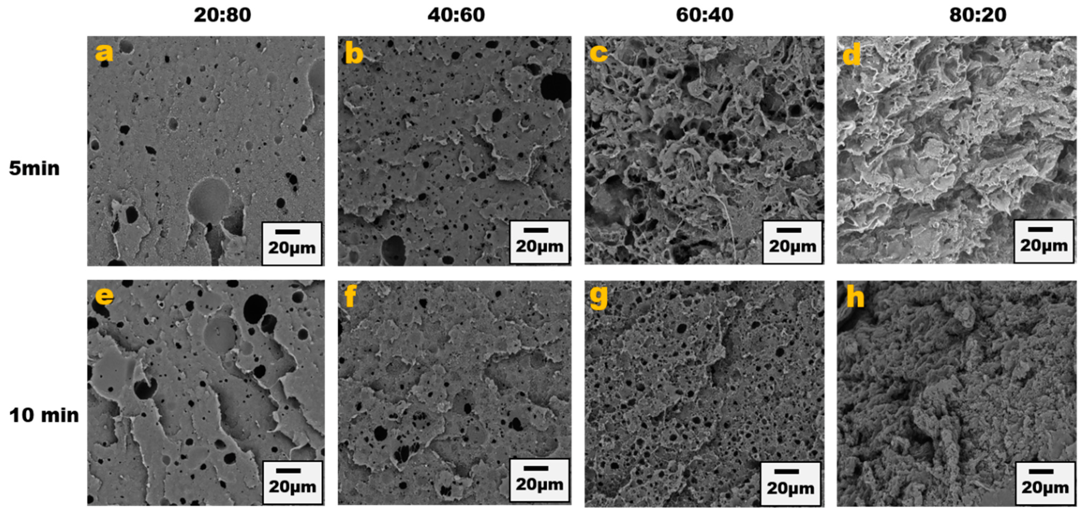 Nanomaterials 13 01039 g003 Nanomaterials 13 01039 g003