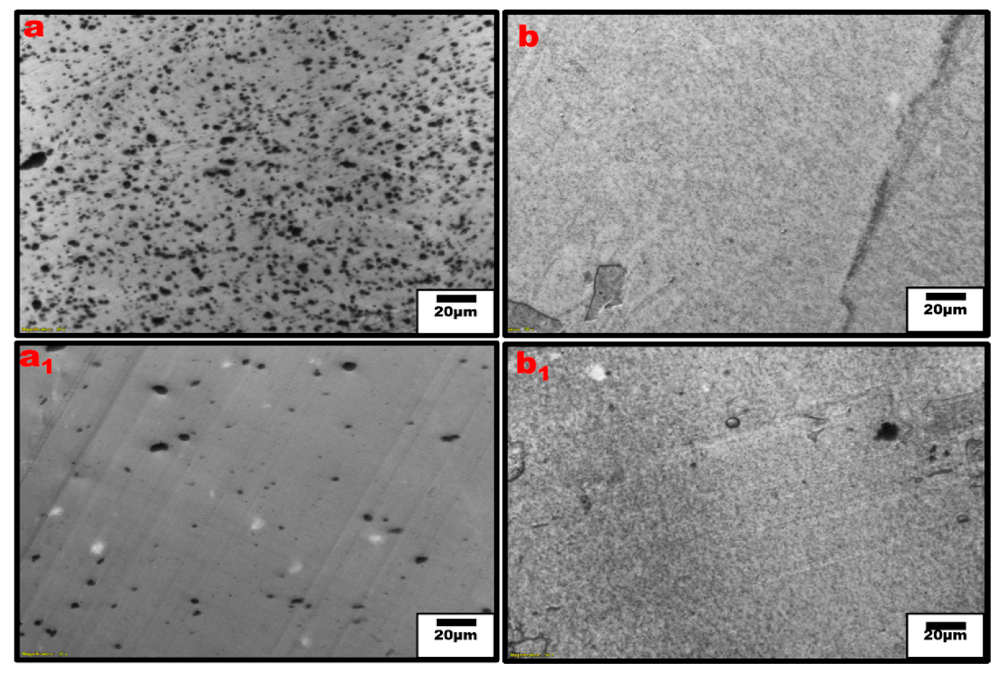 Nanomaterials 13 01039 g005 Nanomaterials 13 01039 g005