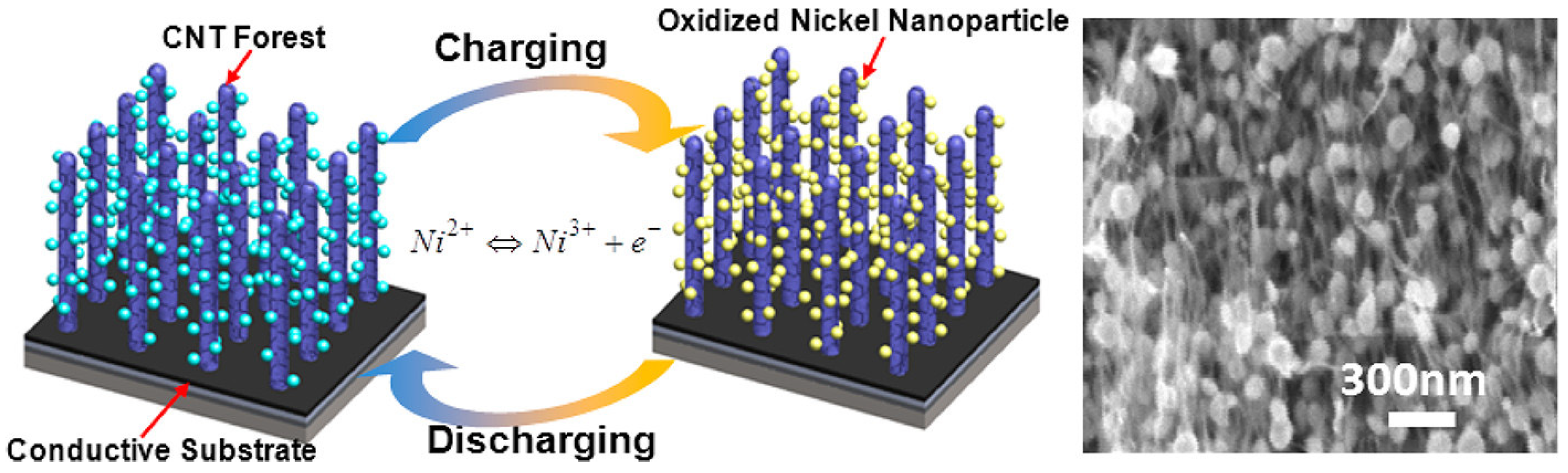 Nanomaterials 13 01049 g013 Nanomaterials 13 01049 g013