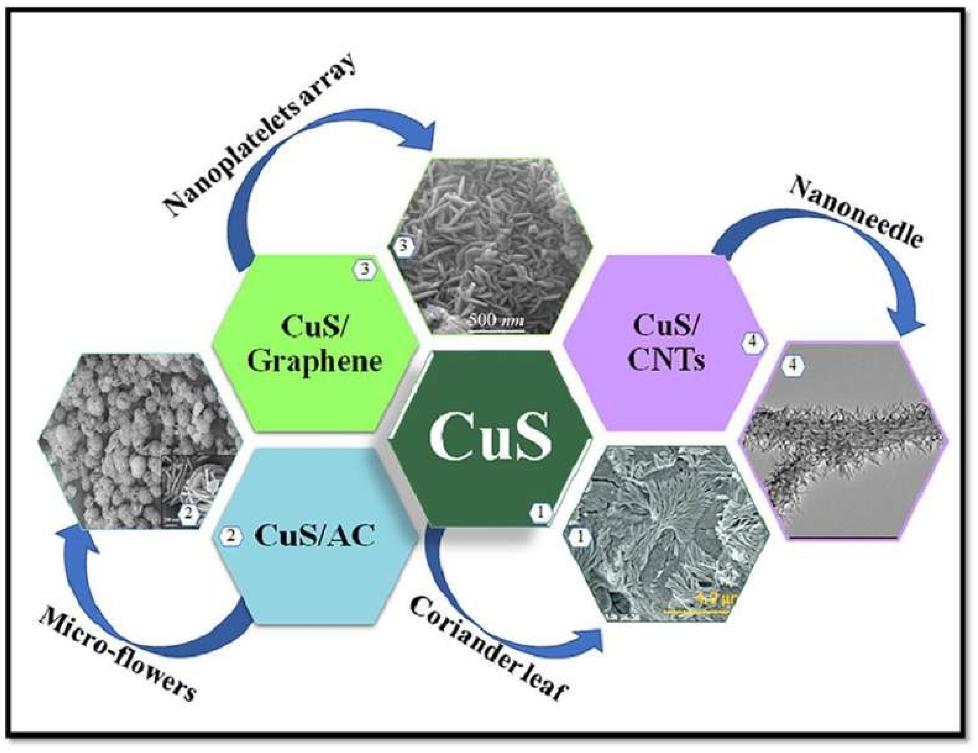 Nanomaterials 13 01049 g020 Nanomaterials 13 01049 g020
