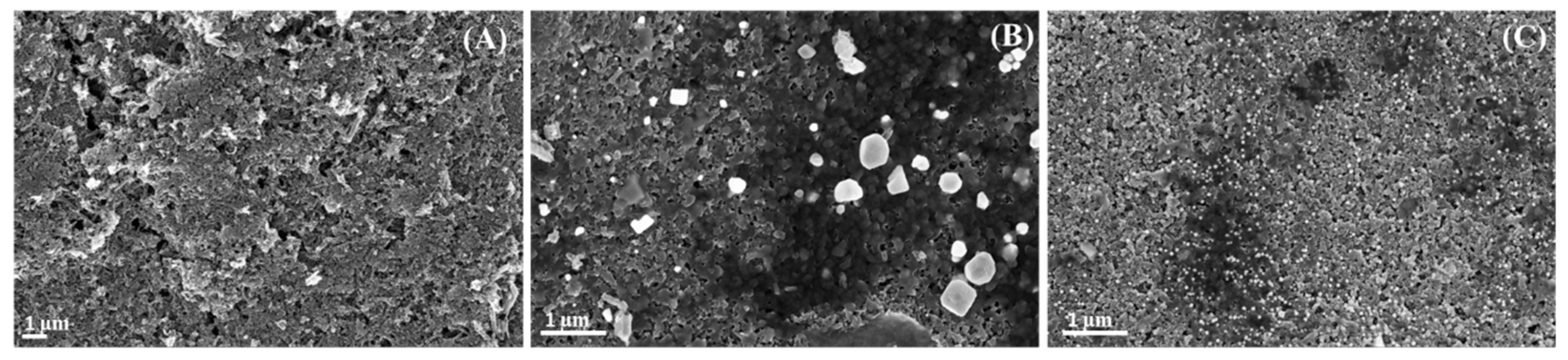 Nanomaterials 13 01055 g003 Nanomaterials 13 01055 g003