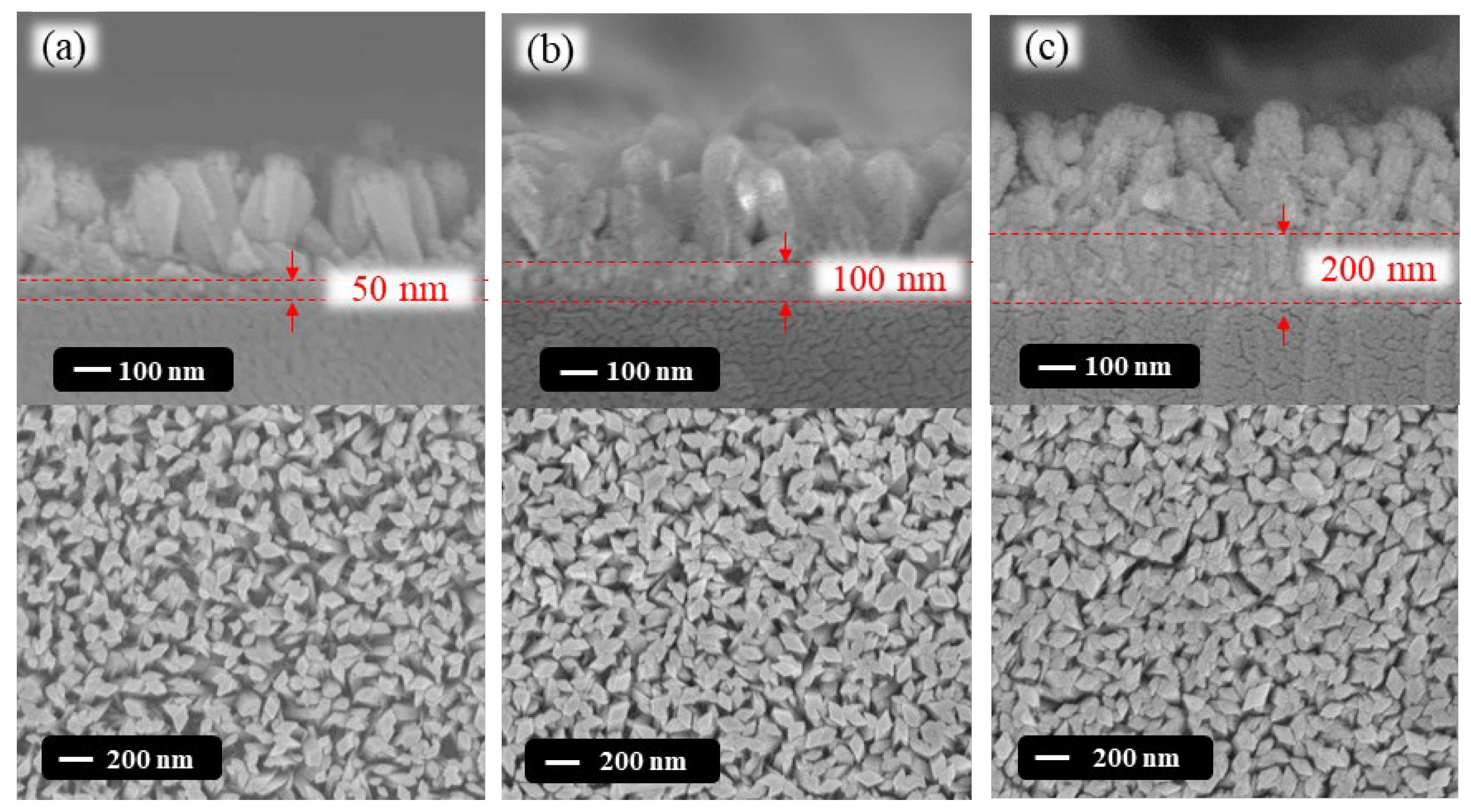 Nanomaterials 13 01064 g004 Nanomaterials 13 01064 g004