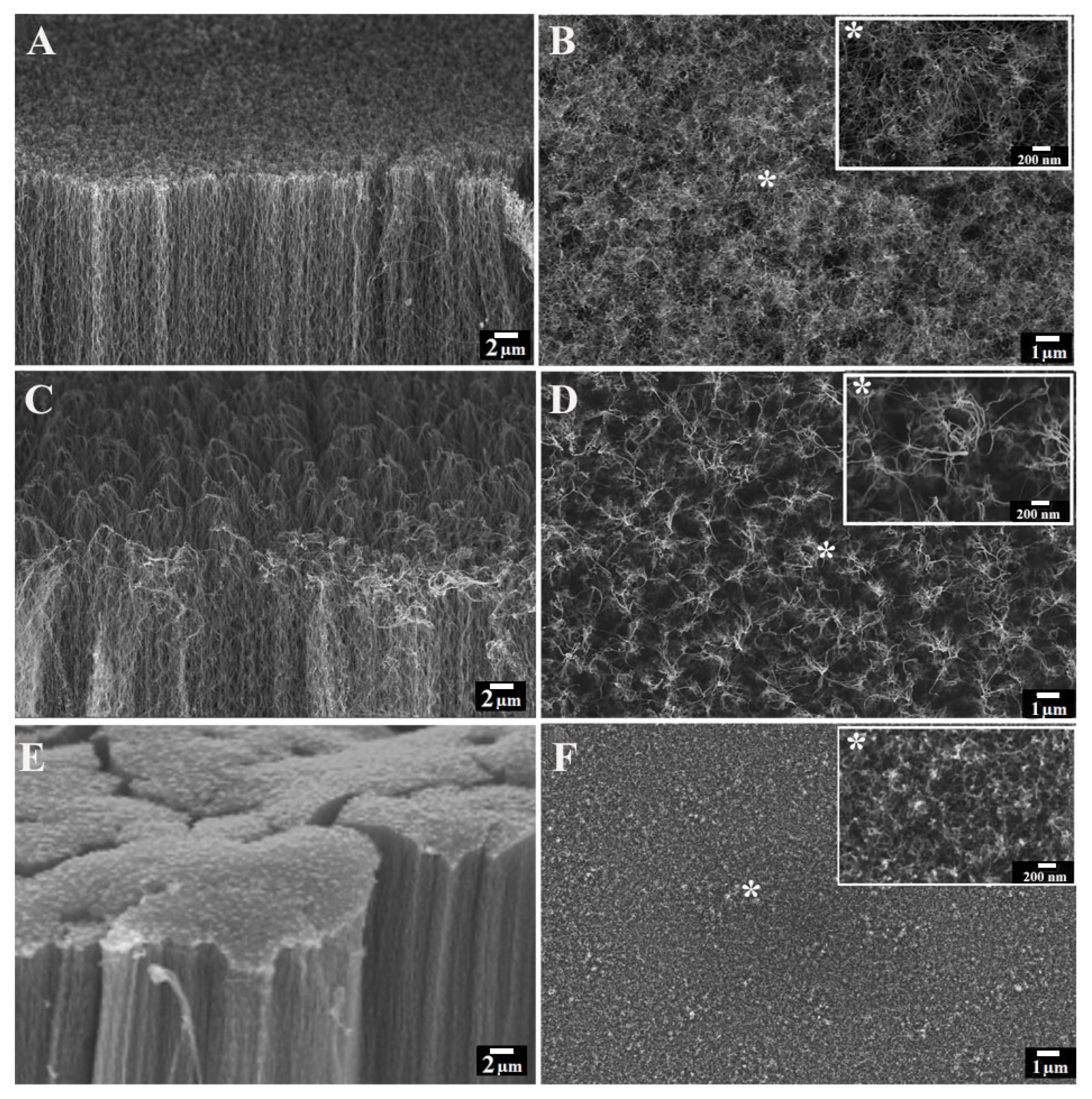 Nanomaterials 13 01081 g001