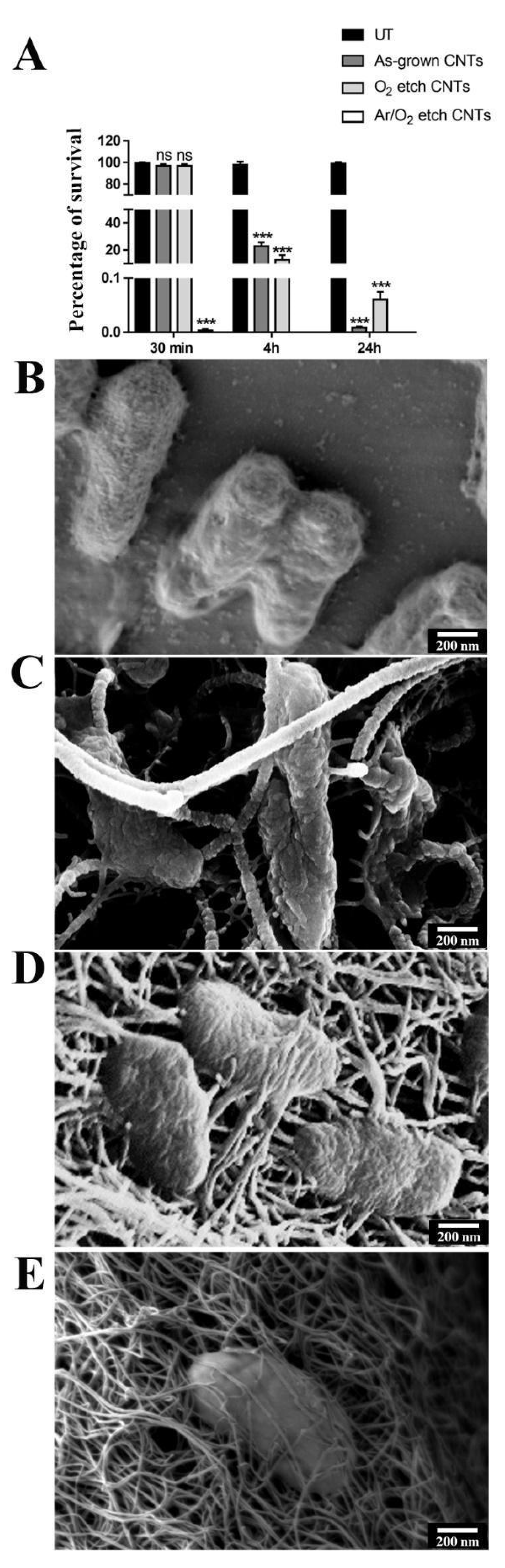 Nanomaterials 13 01081 g005