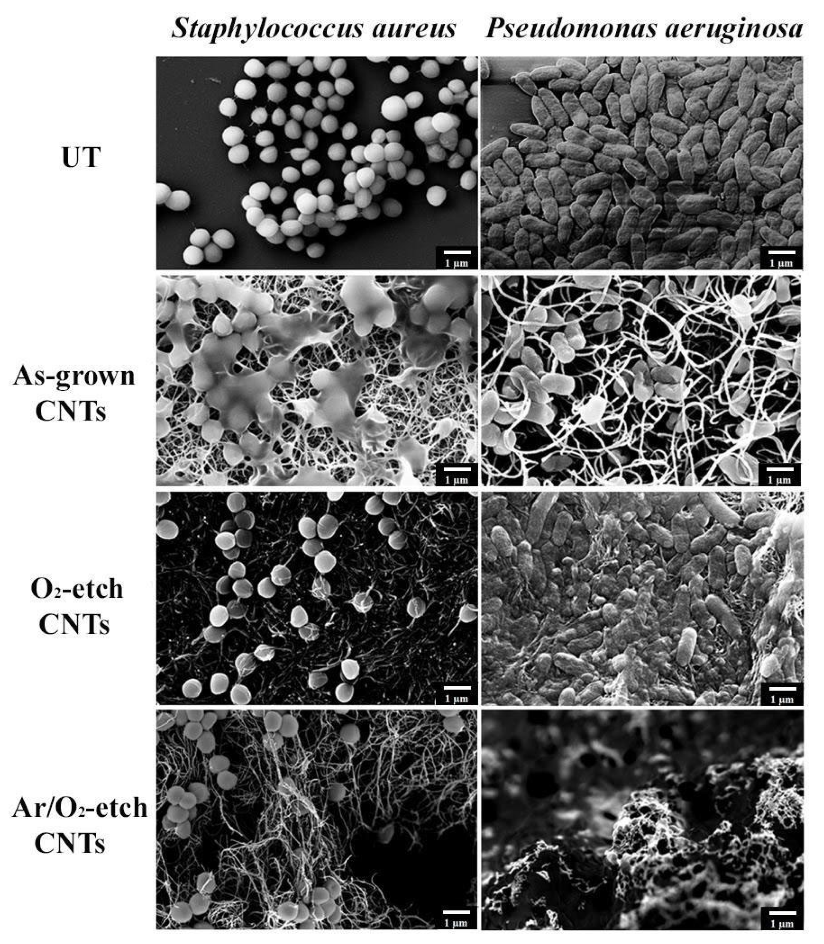 Nanomaterials 13 01081 g006