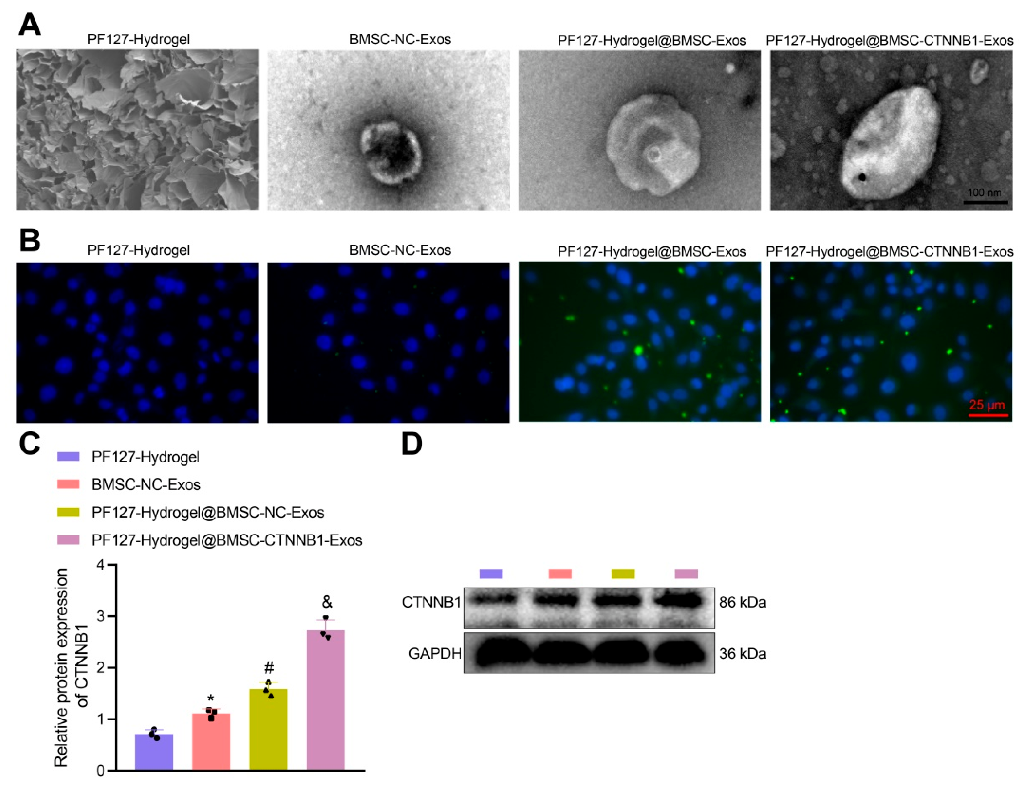 Nanomaterials 13 01083 g004