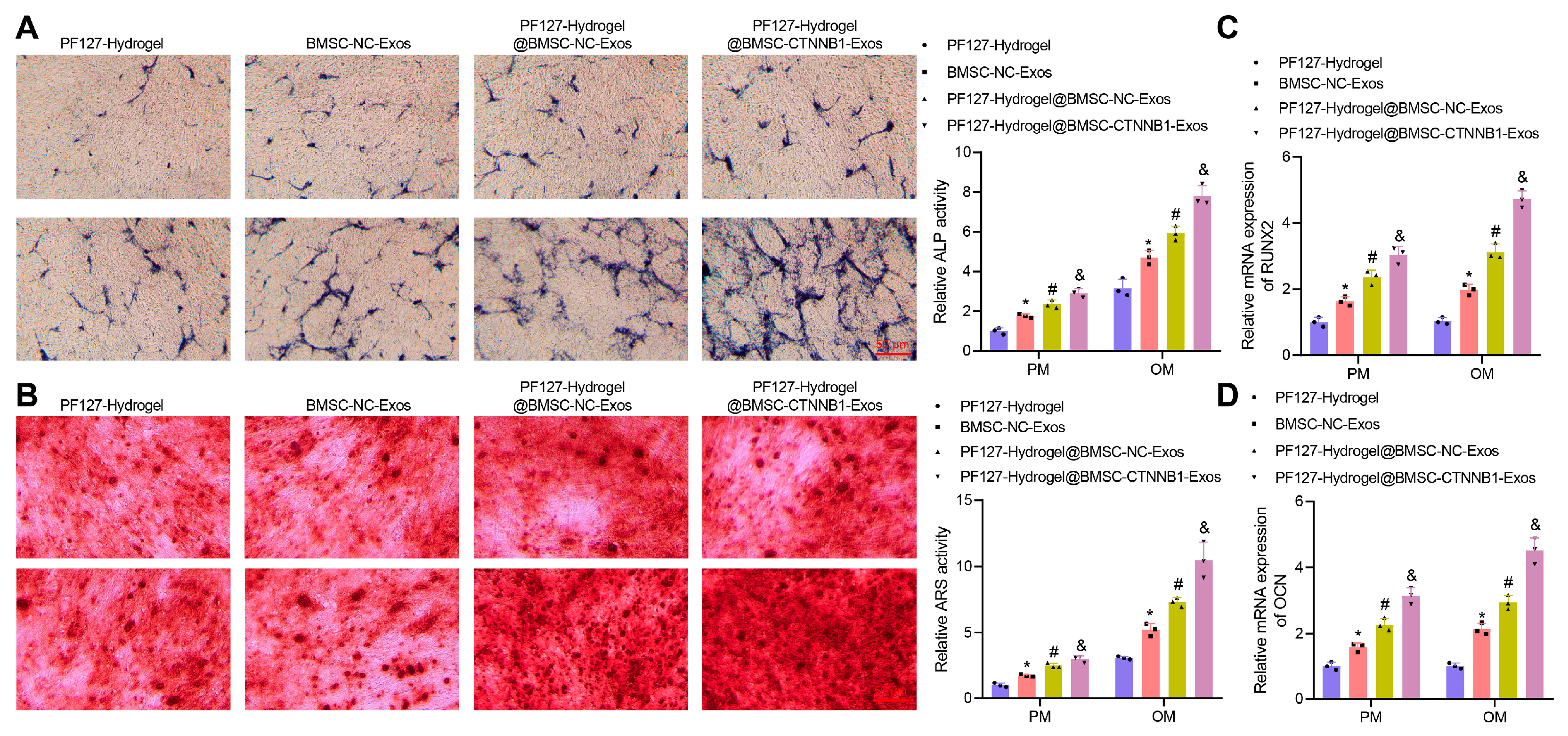 Nanomaterials 13 01083 g005