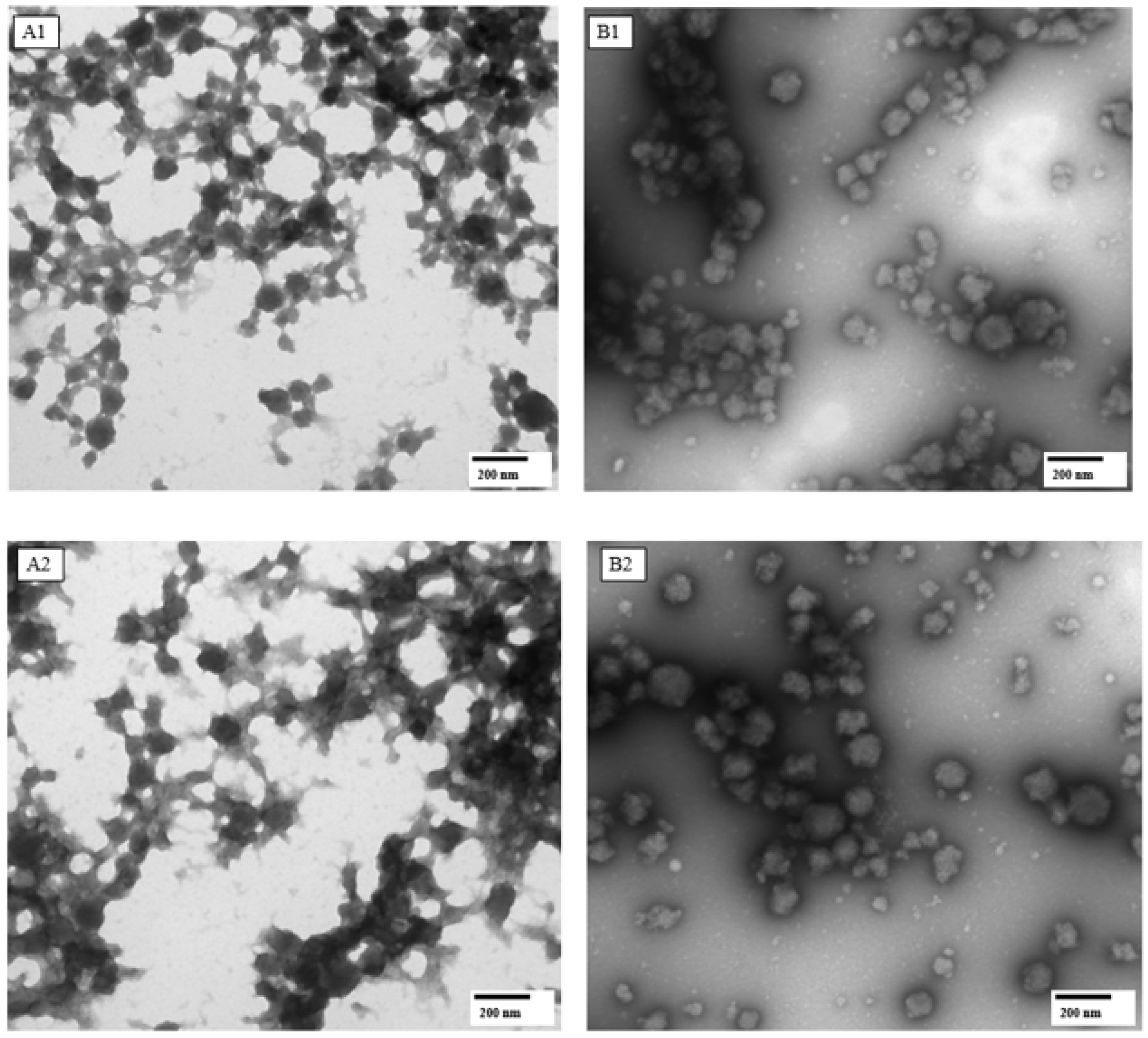 Nanomaterials 13 01093 g006 Nanomaterials 13 01093 g006