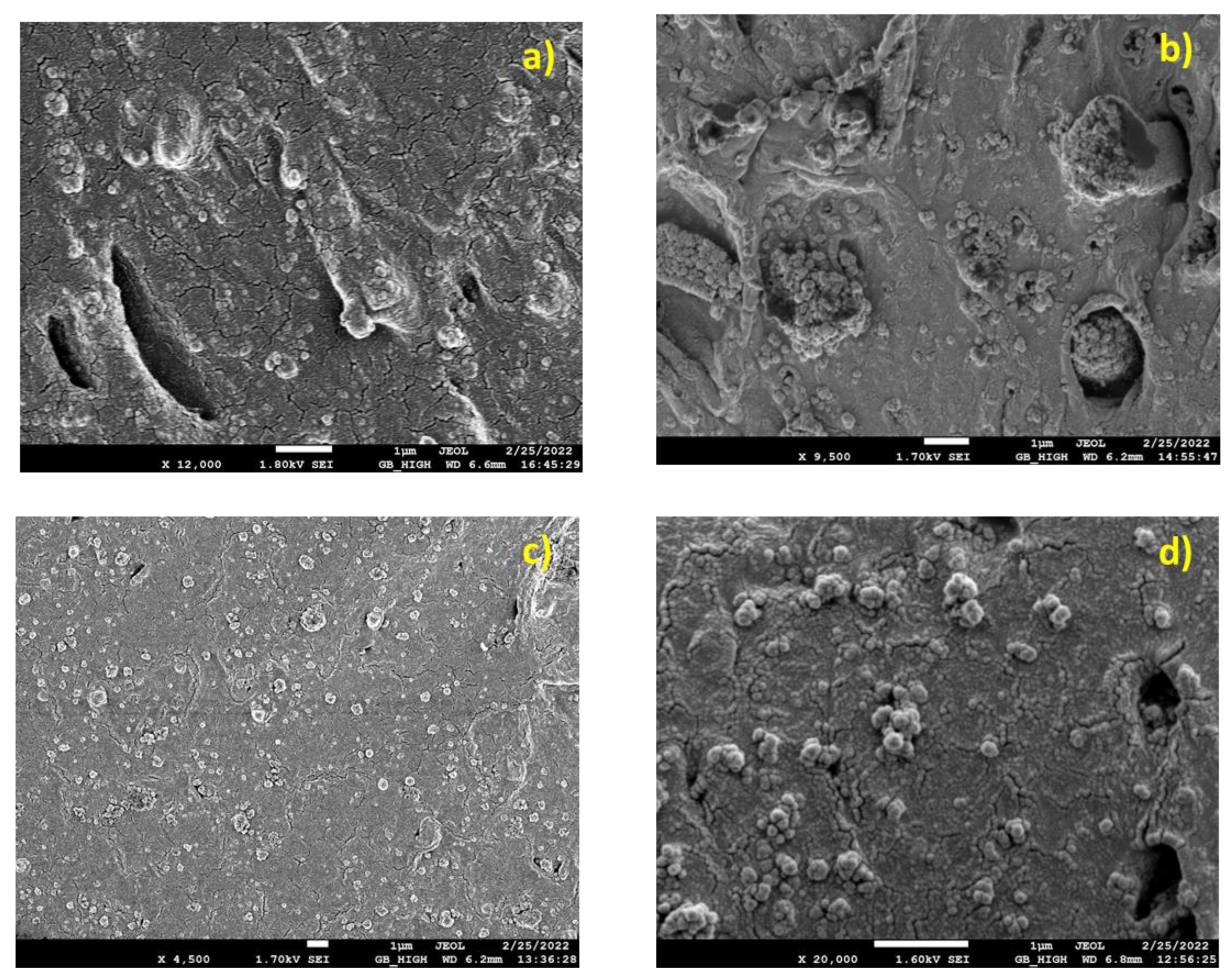 Nanomaterials 13 01095 g002 Nanomaterials 13 01095 g002
