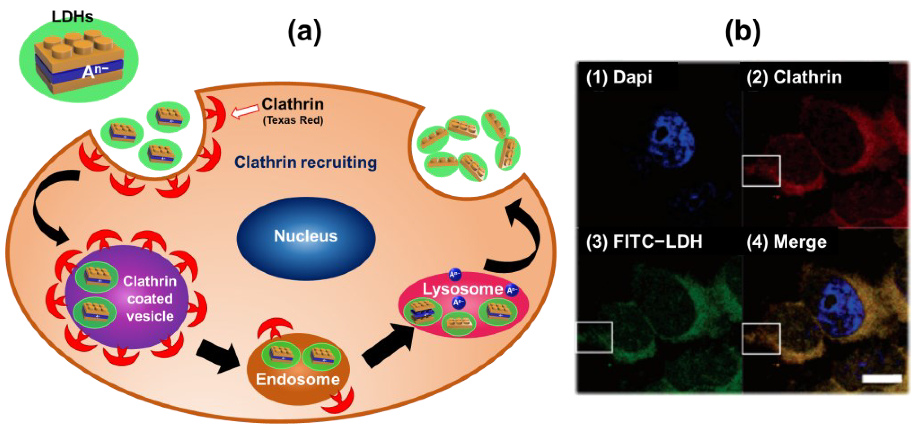 Nanomaterials 13 01102 g002 Nanomaterials 13 01102 g002