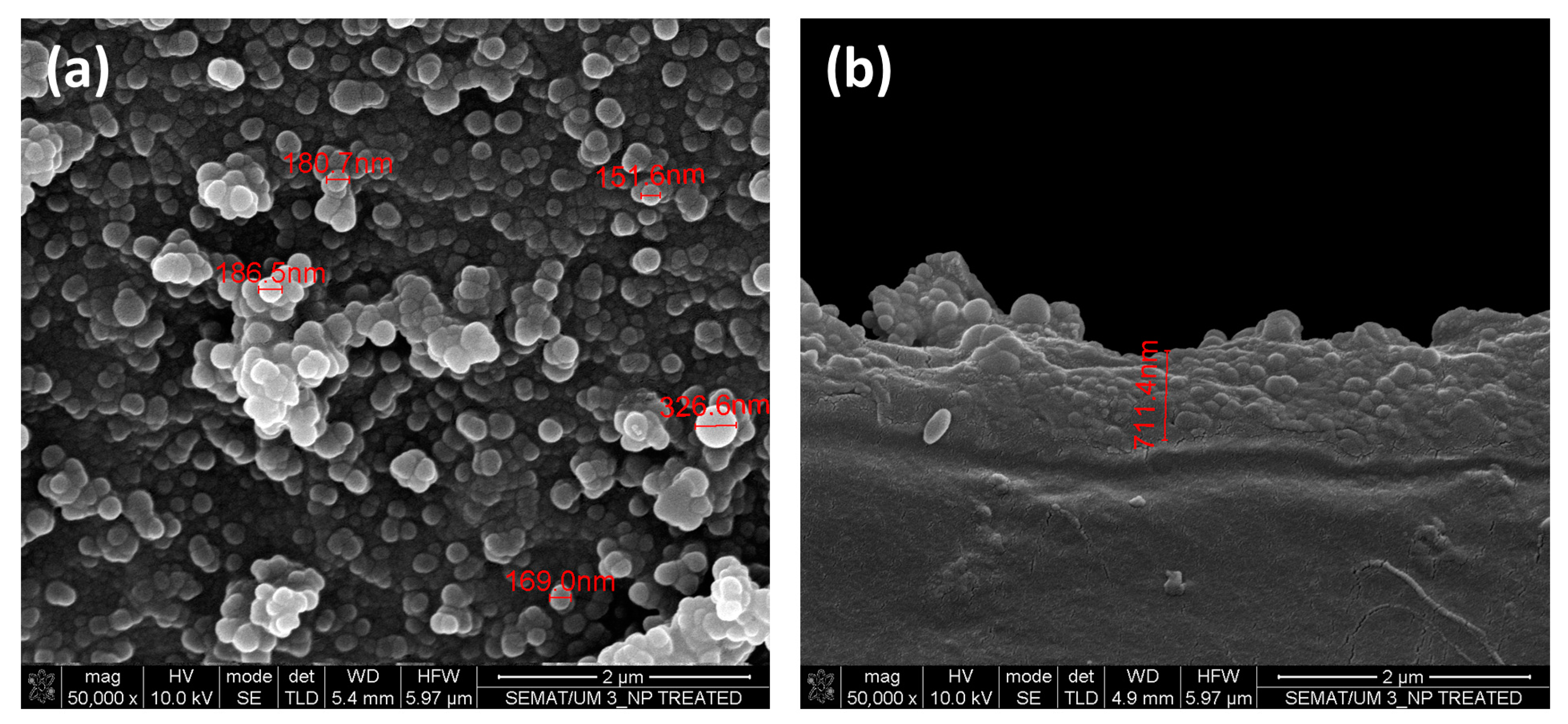 Nanomaterials 13 01117 g005 Nanomaterials 13 01117 g005