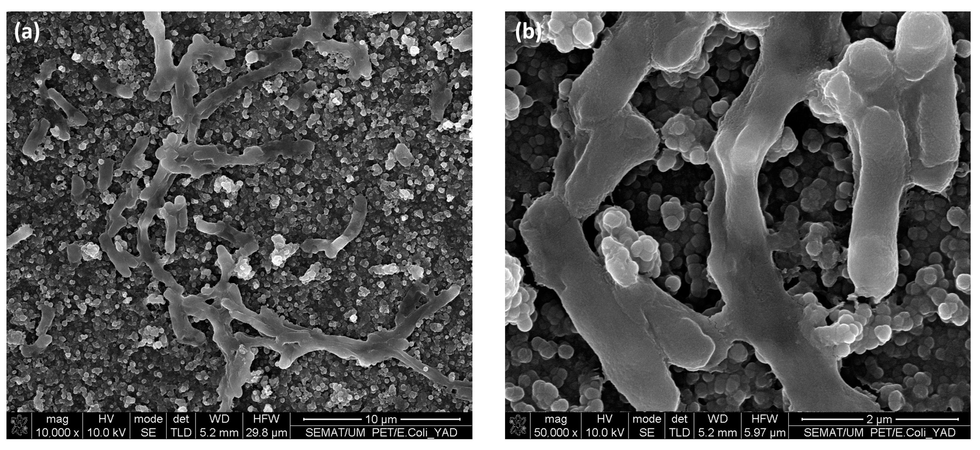 Nanomaterials 13 01117 g009 Nanomaterials 13 01117 g009