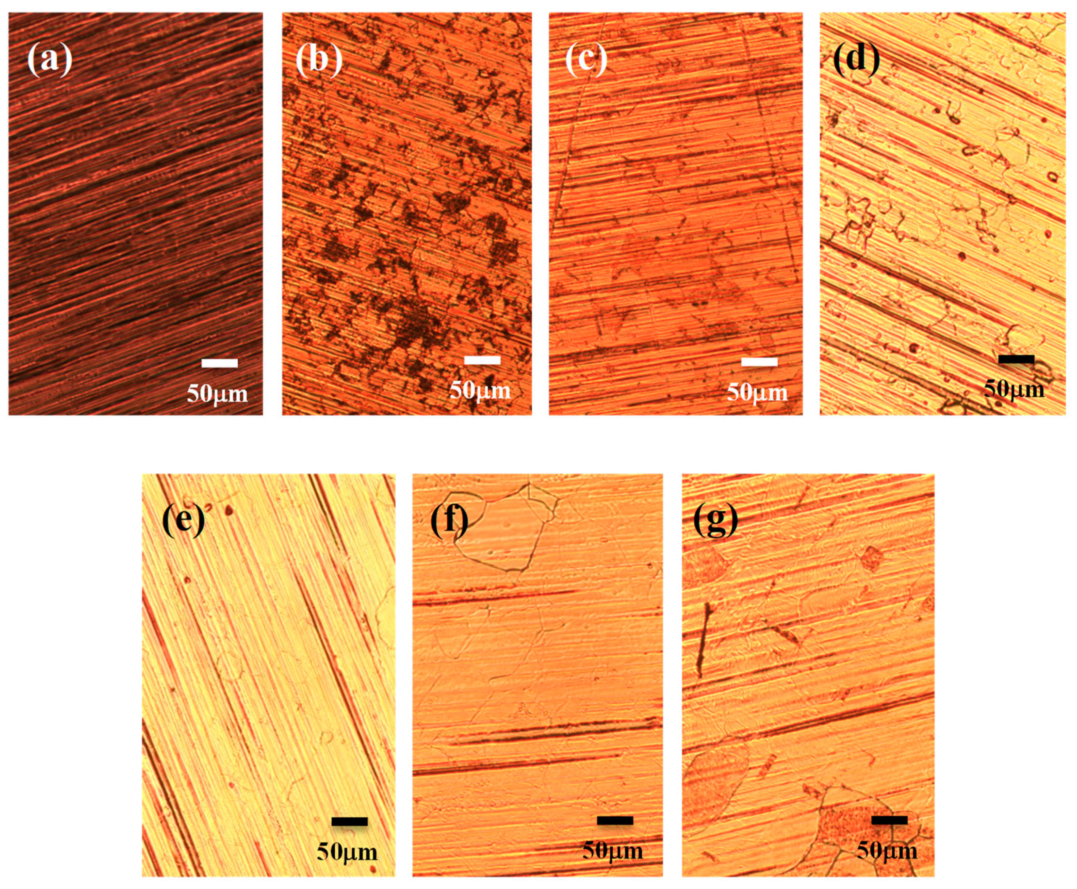 Nanomaterials 13 01136 g001