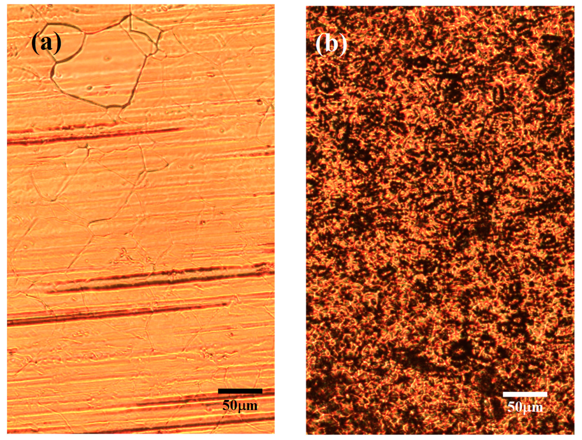 Nanomaterials 13 01136 g010