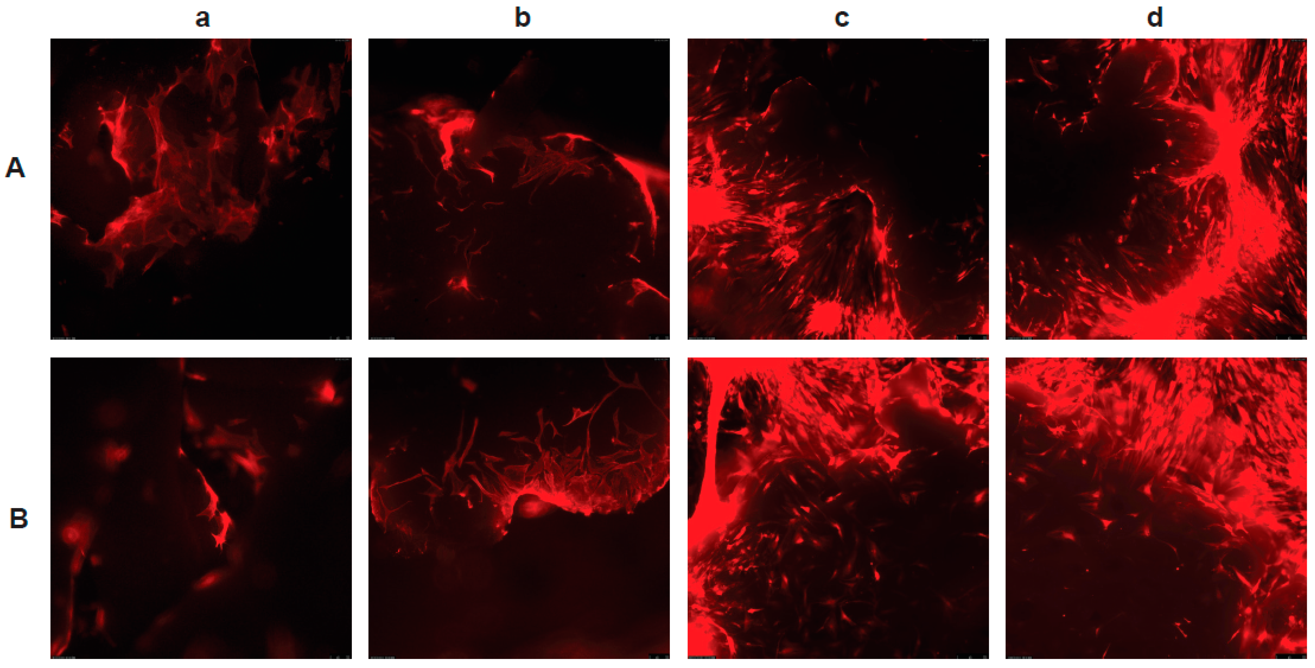 Nanomaterials 13 01149 g003