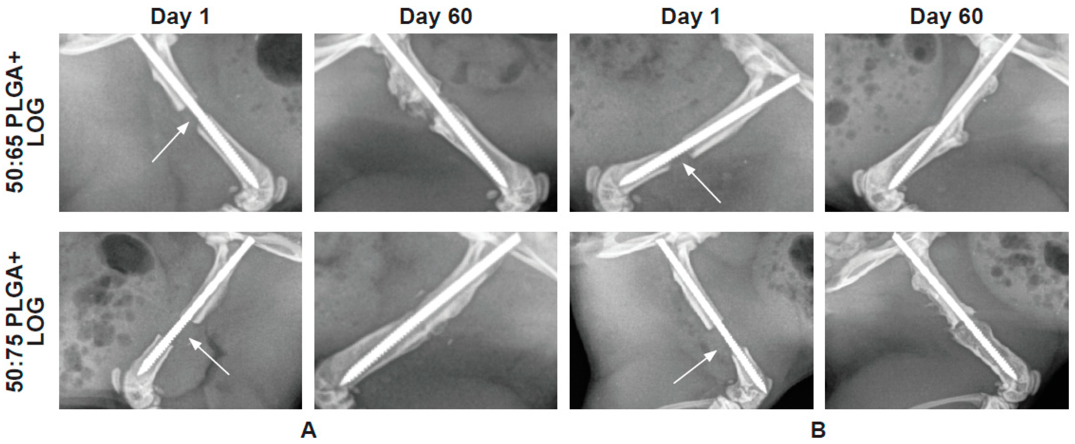 Nanomaterials 13 01149 g004