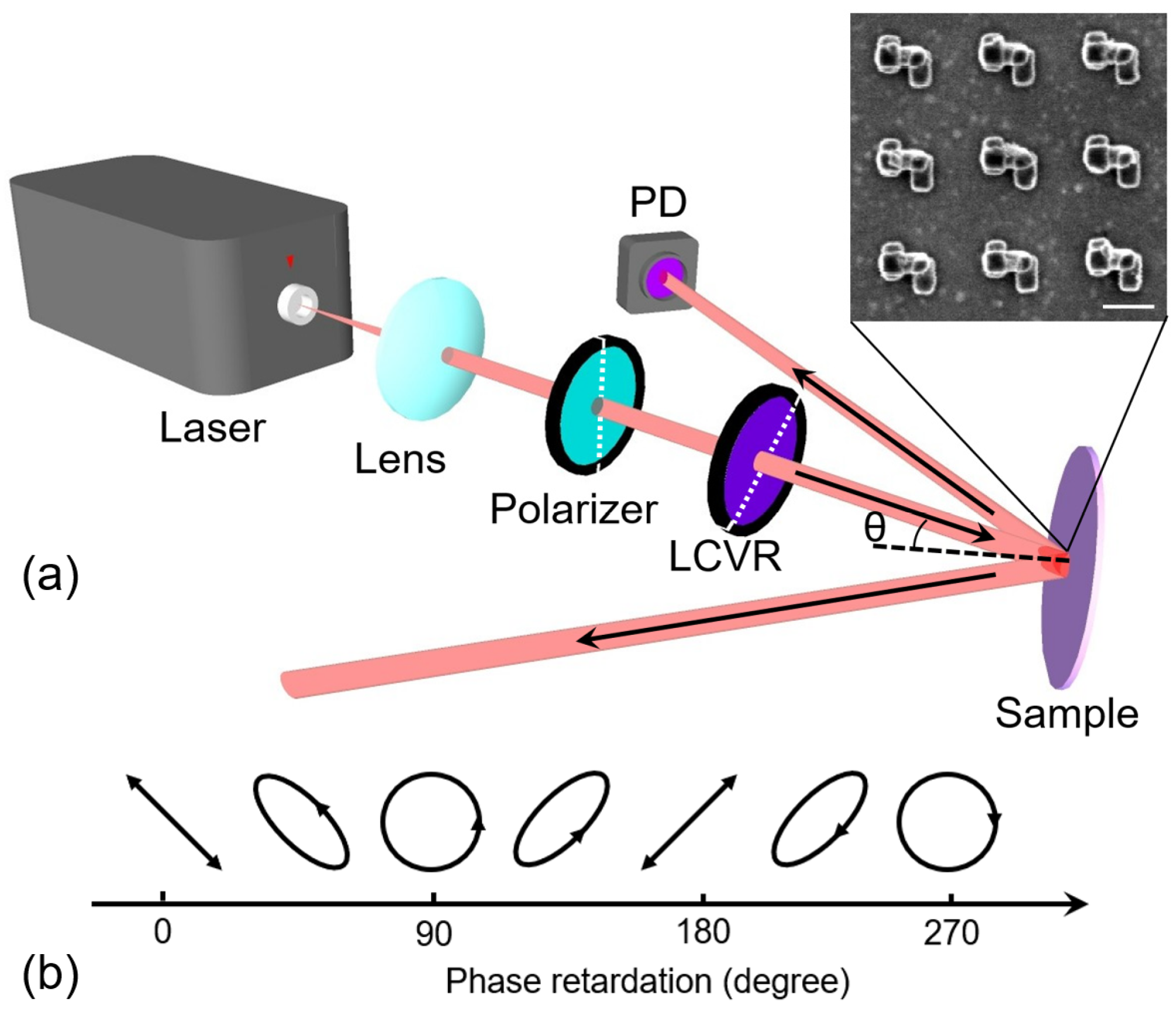 Nanomaterials | Free Full-Text | Enhanced Diffractive Circular