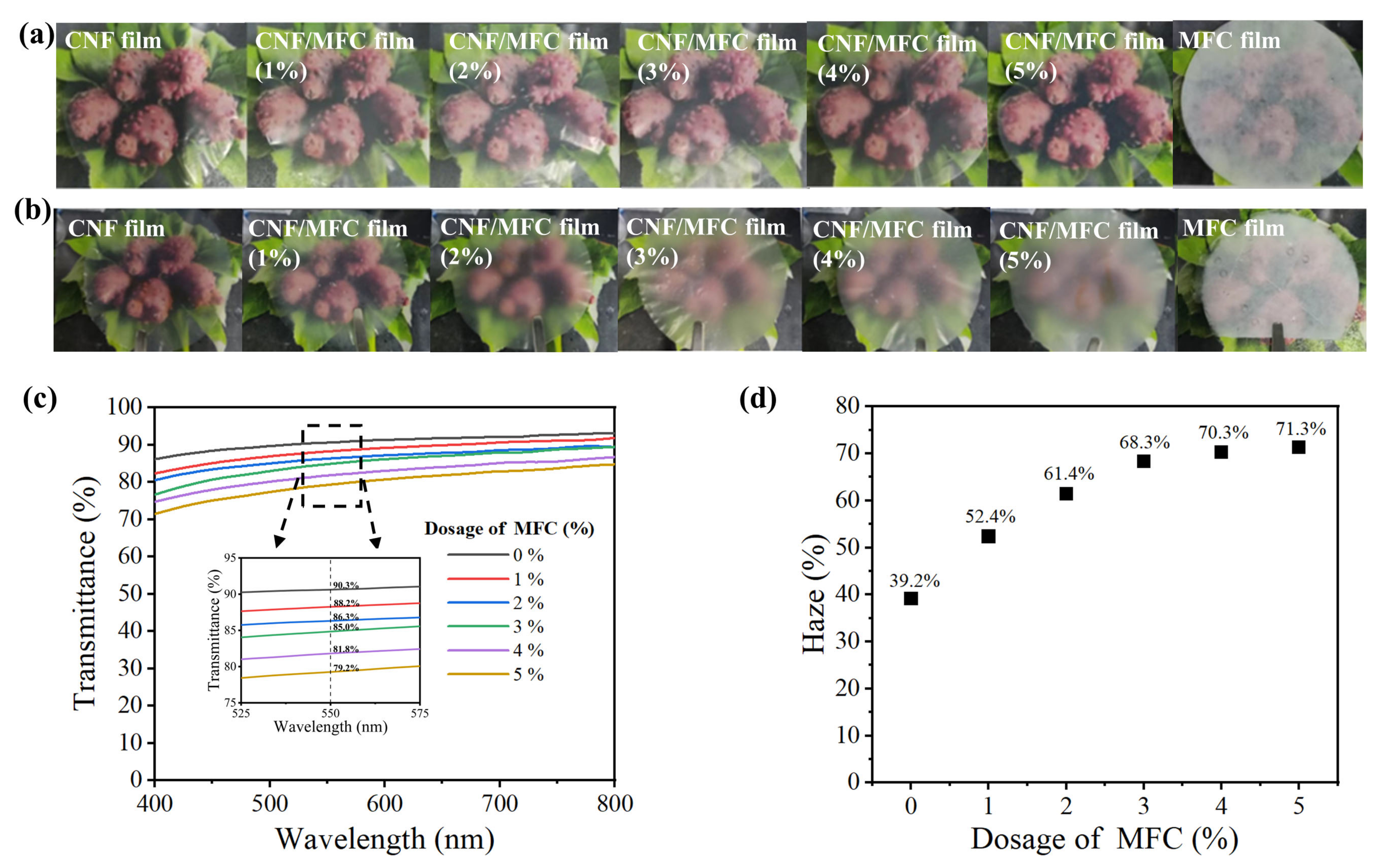 Nanomaterials 13 01221 g003 Nanomaterials 13 01221 g003