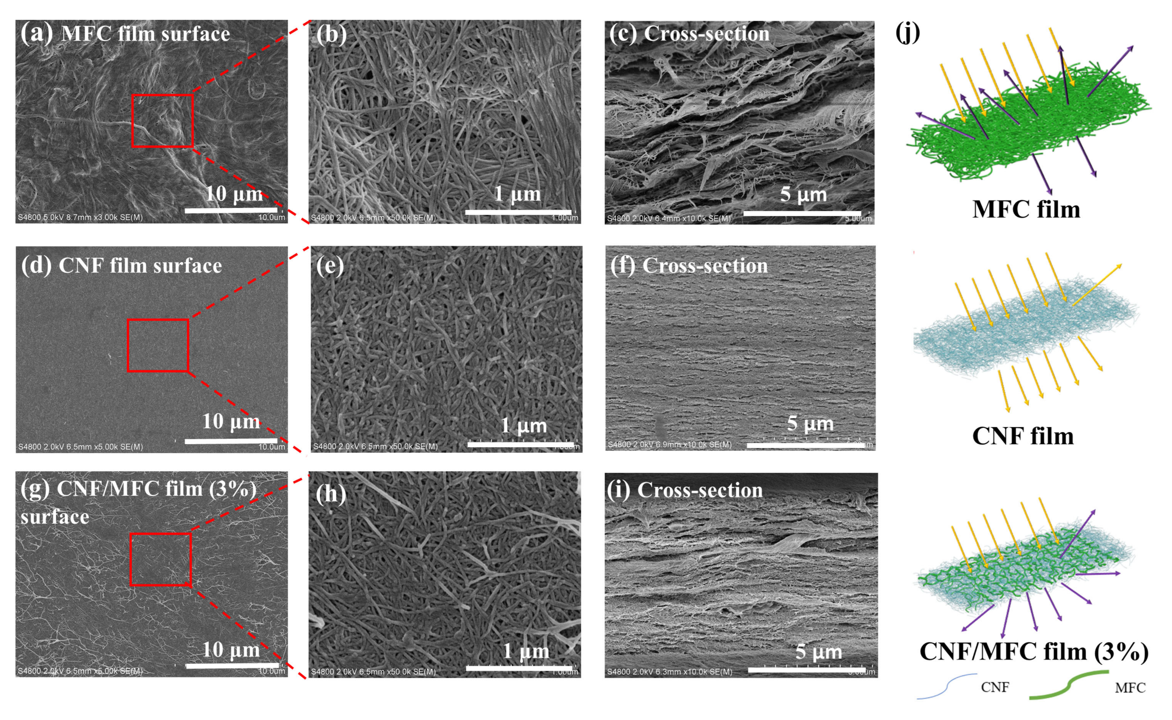 Nanomaterials 13 01221 g004 Nanomaterials 13 01221 g004